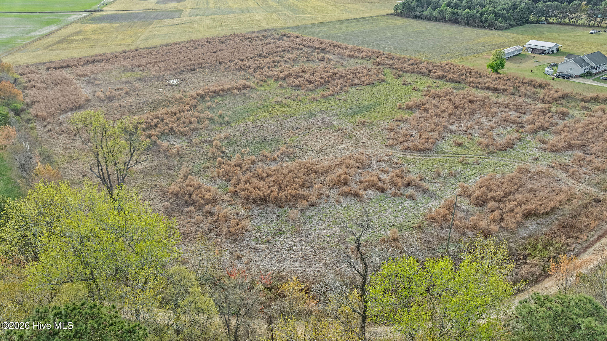 294 Waller Road Mount Olive, NC 28365 - Photo 6 of 15 DJI_0932 (1)