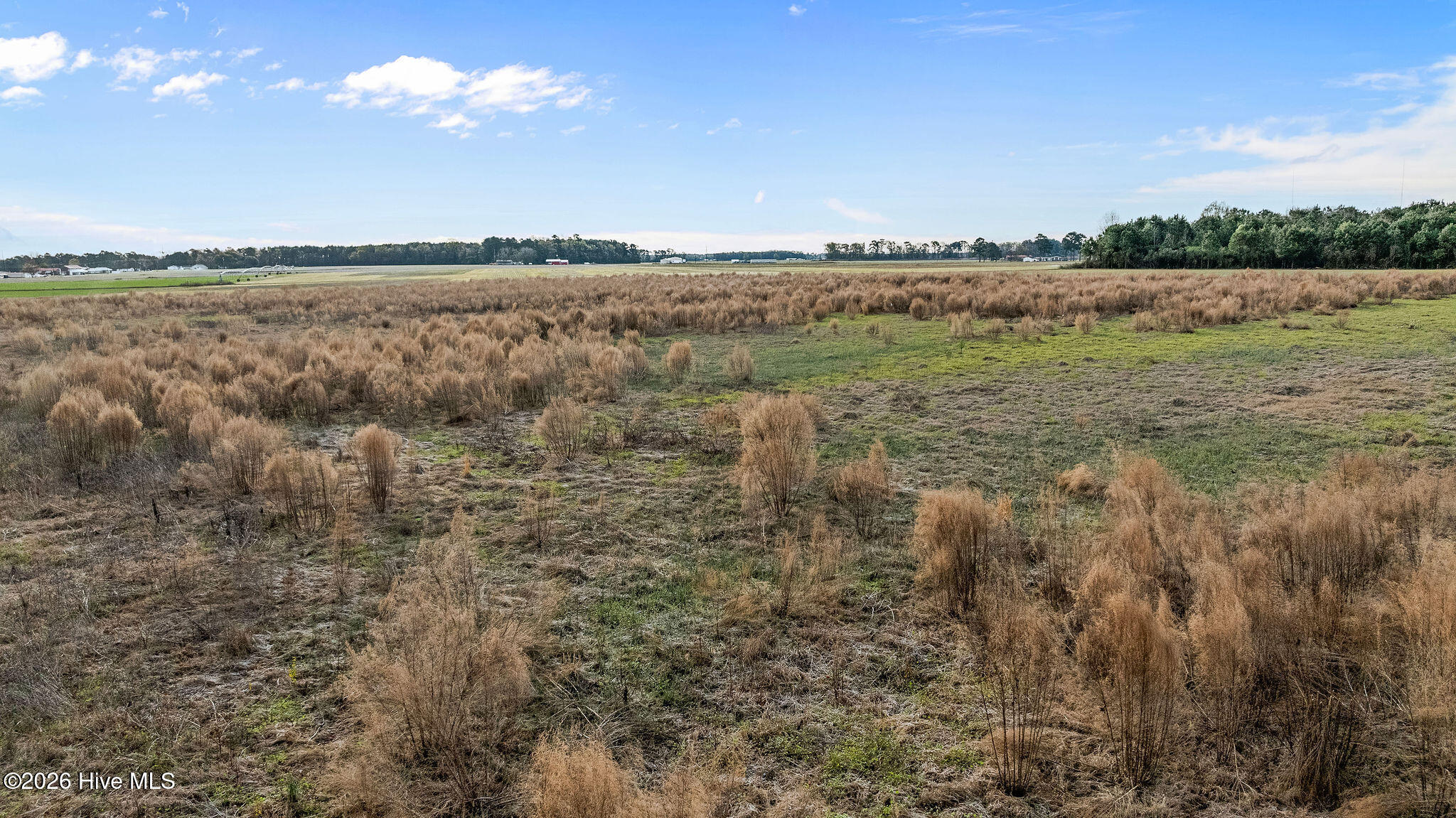 294 Waller Road Mount Olive, NC 28365 - Photo 7 of 15 DJI_0926
