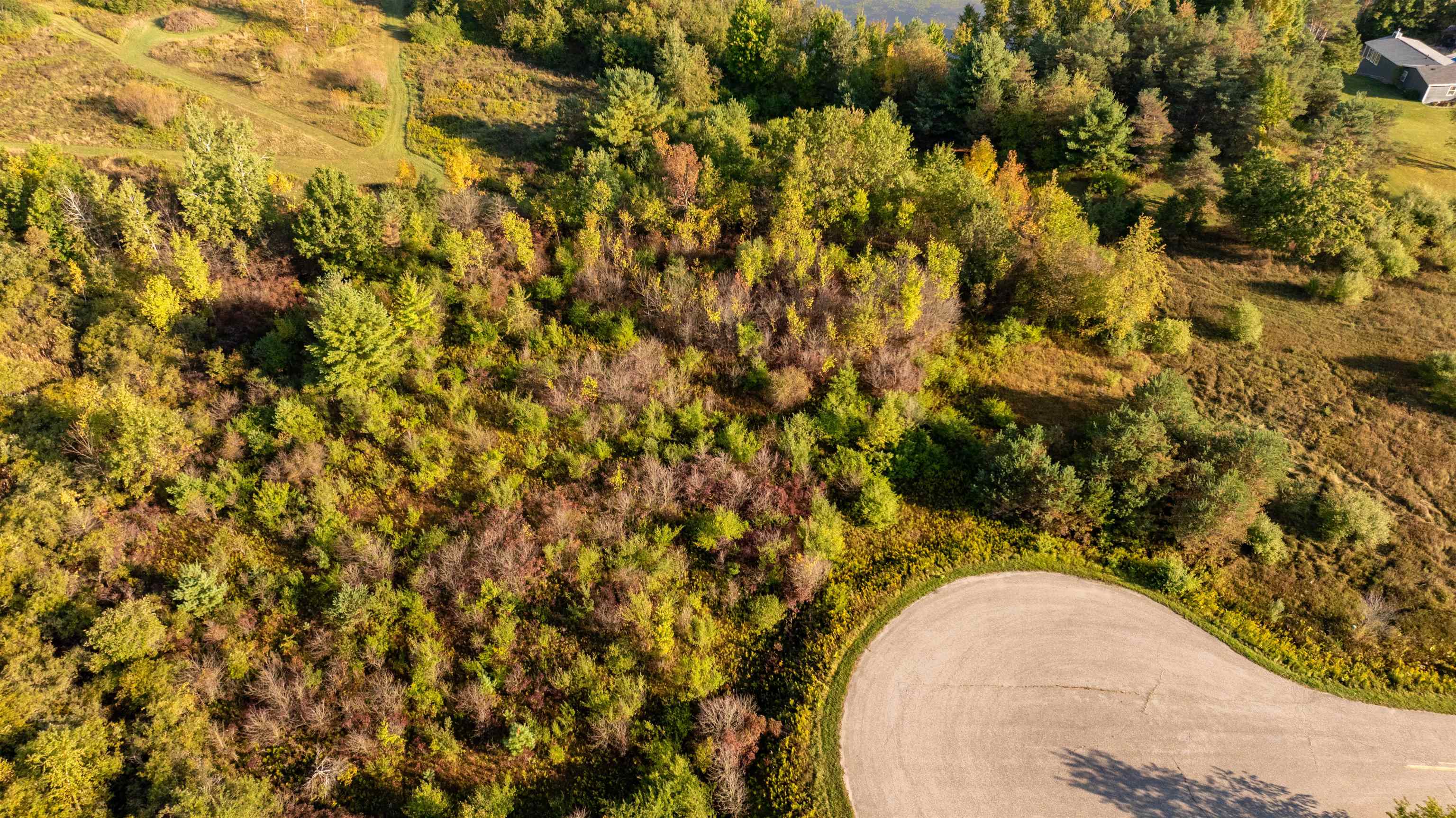 Xx Spalding Way Gladwin, MI 48624 - Photo 6 of 13