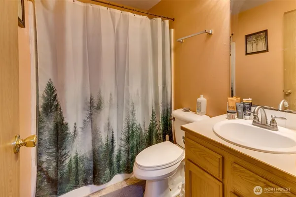 a bathroom with a sink a toilet and shower curtain