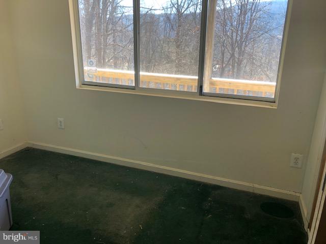 612 Jonathan Road Linden, VA 22642 - Photo 12 of 16 Basement Bedroom