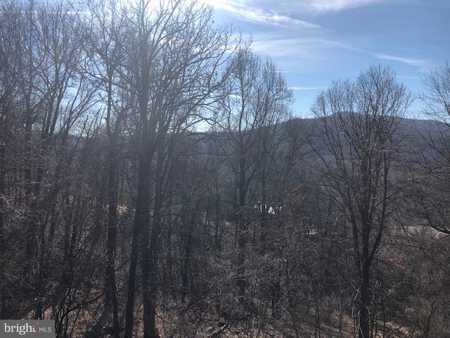 612 Jonathan Road Linden, VA 22642 - Photo 14 of 16 View