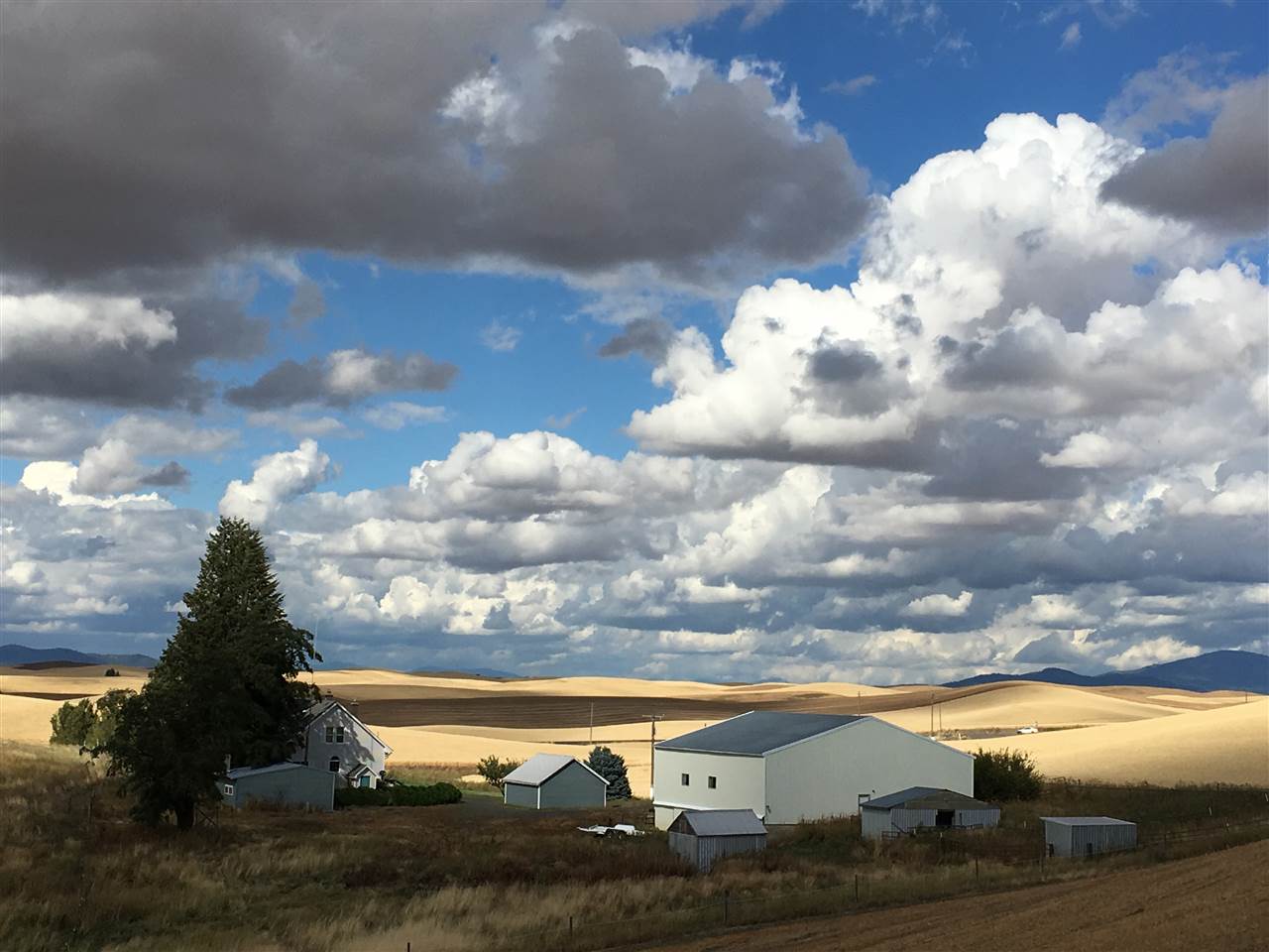 5007 East Bradshaw Road Spangle, WA 99031 - Photo 20 of 20