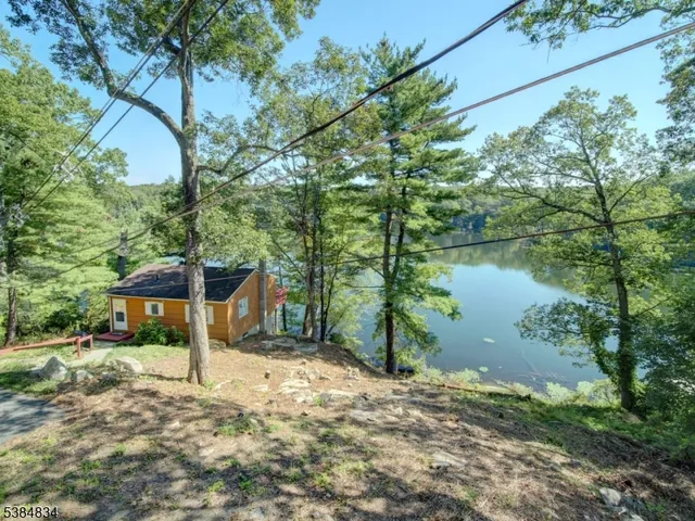 a view of a lake with a tree