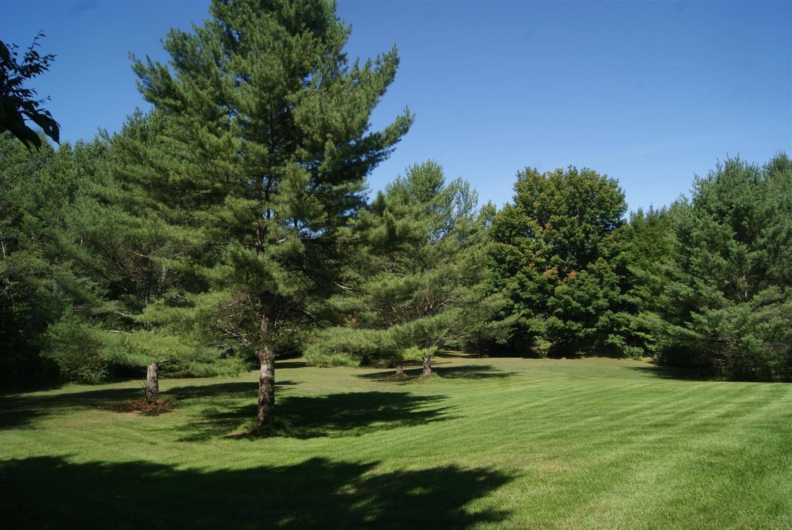 10805 Butler Road Cheboygan, MI 49721 - Photo 2 of 20 Gallery Image 2