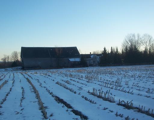 347 Warren Hill Road Palmyra, ME 04965 - Photo 5 of 7 Land/Lot.