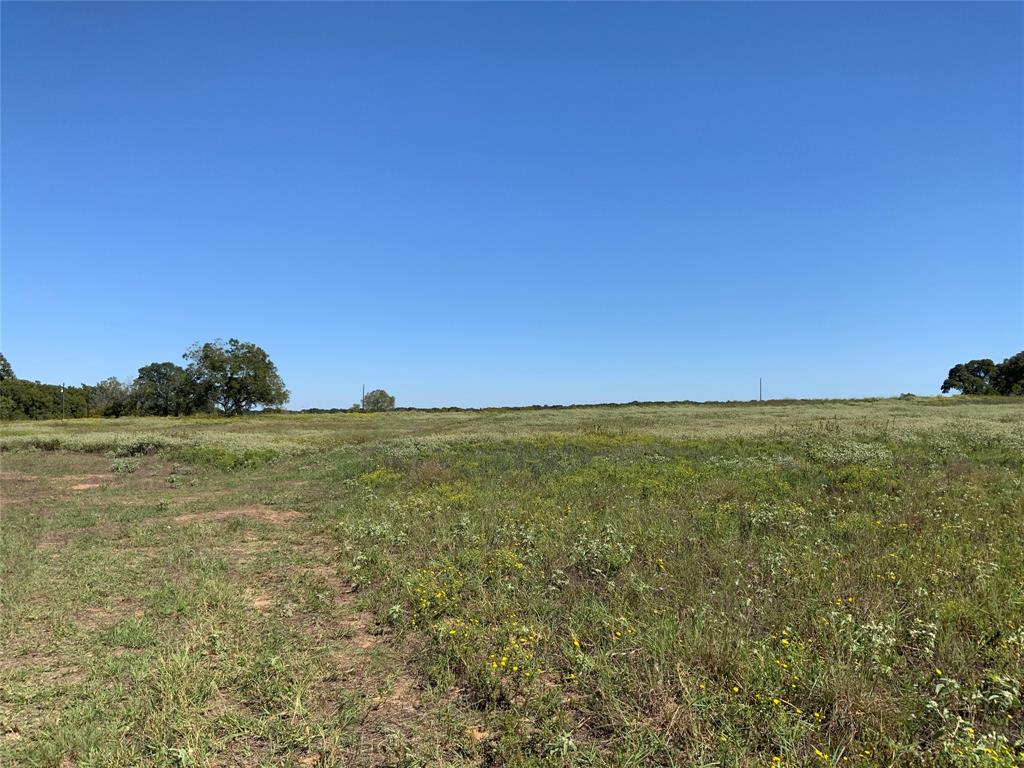 226 County Road 226 Rising Star, TX 76471 - Photo 15 of 25