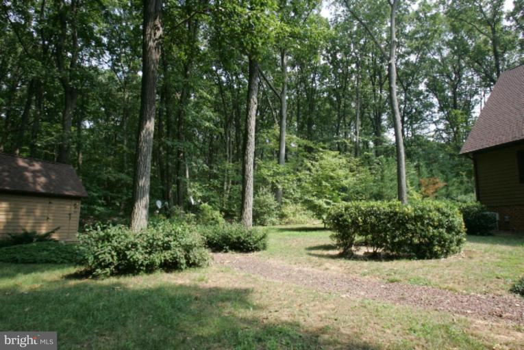2320 Bulls Sawmill Road Freeland, MD 21053 - Photo 22 of 26 a view of a backyard with potted plants and large trees