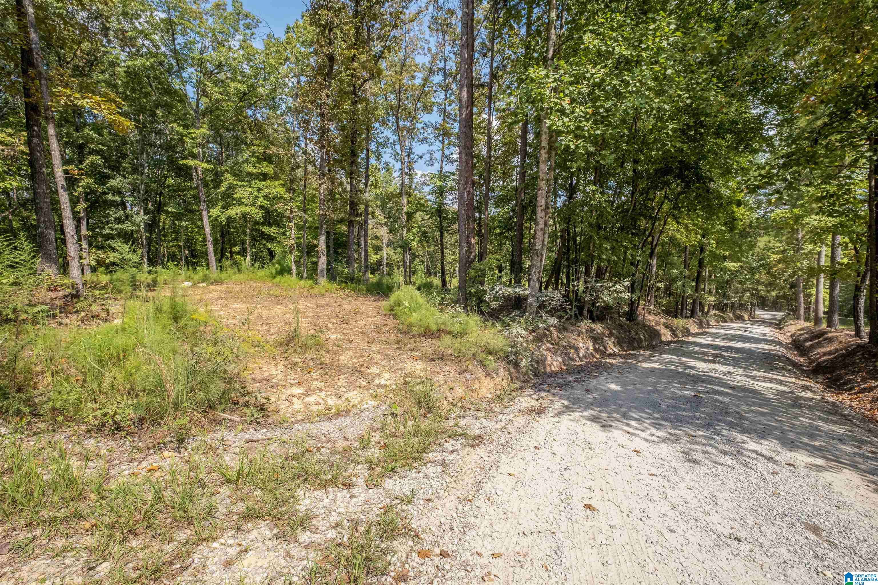 128 County Road 928, Unit 14 Delta, AL 36258 - Photo 7 of 30