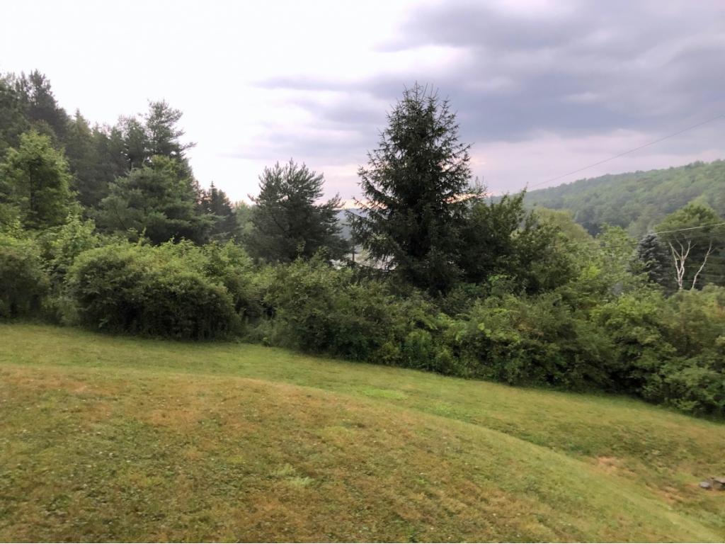 5 Deer Run Road Windsor, NY 13865 - Photo 7 of 9 Gallery Image 7