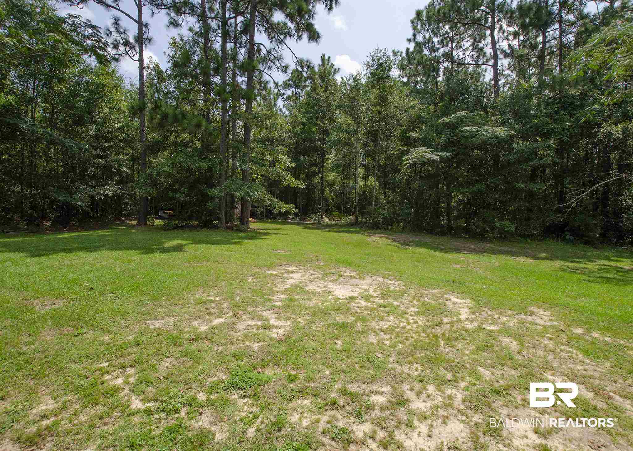 6973 Richard Lane Eight Mile, AL 36613 - Photo 37 of 38 Back Yard