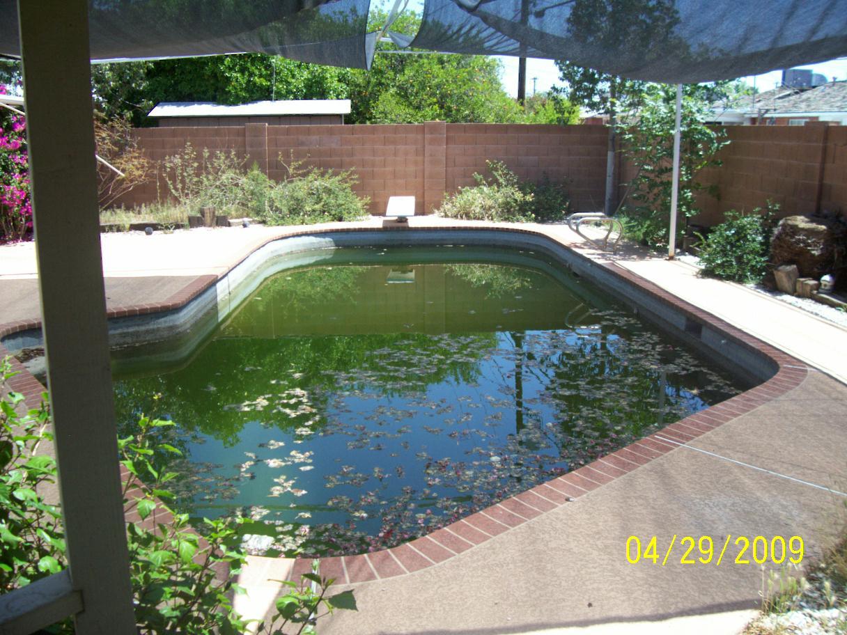4125 West Ocotillo Road Phoenix, AZ 85019 - Photo 6 of 6 .