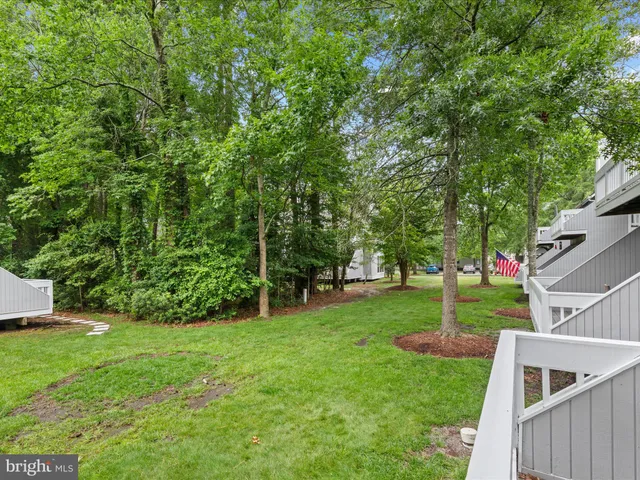 a view of a backyard with large trees