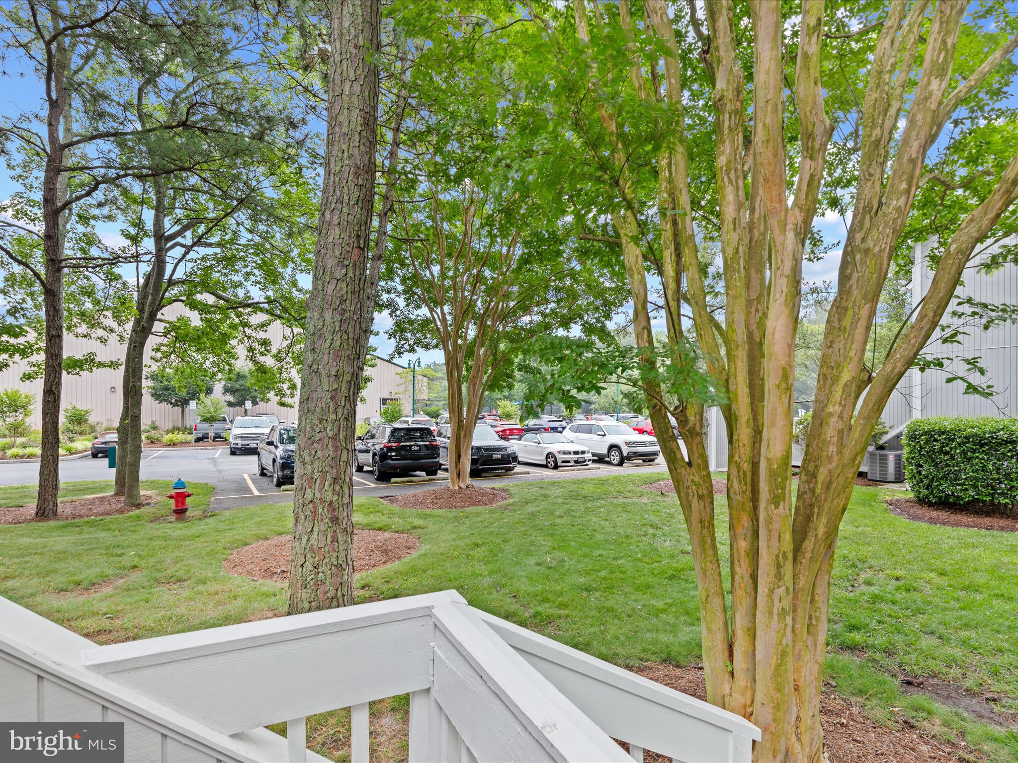 39346 Racquet Lane, Unit 8502 Bethany Beach, DE 19930 - Photo 32 of 33 a view of a yard with large trees