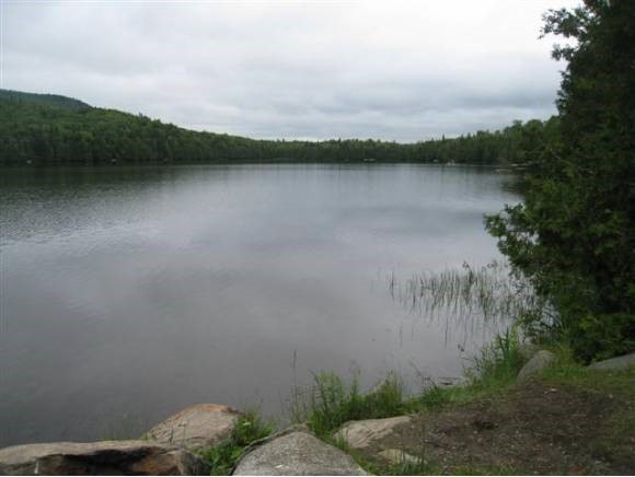 1367 Center Pond Road Newark, VT 05871 - Photo 8 of 24 Gallery Image 8