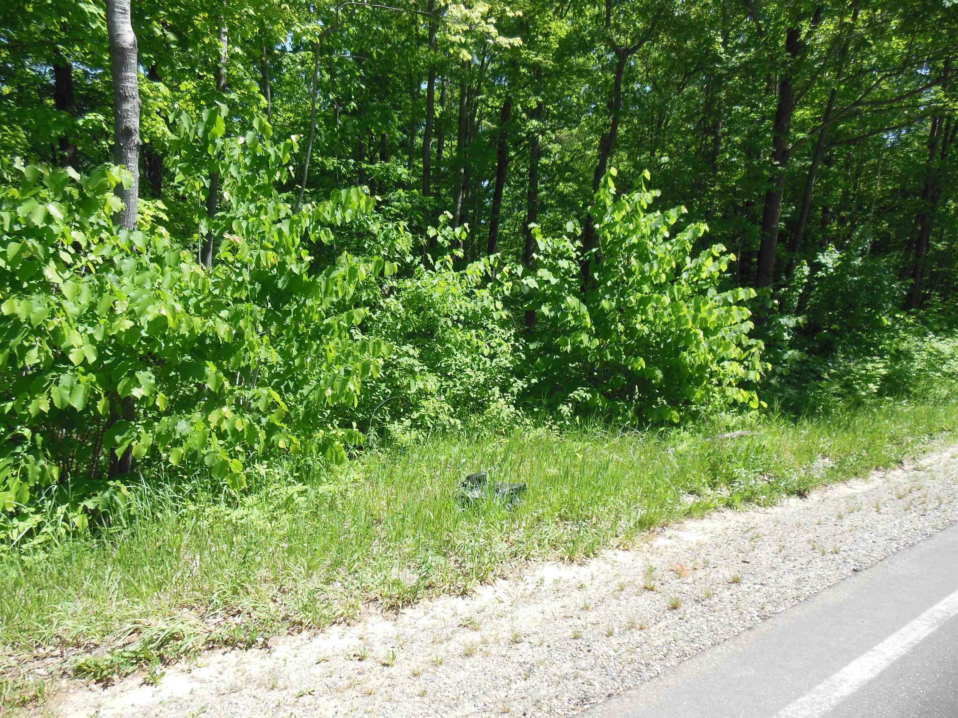 Lot 26 Rodgers Road Harrison, MI 48625 - Photo 1 of 7