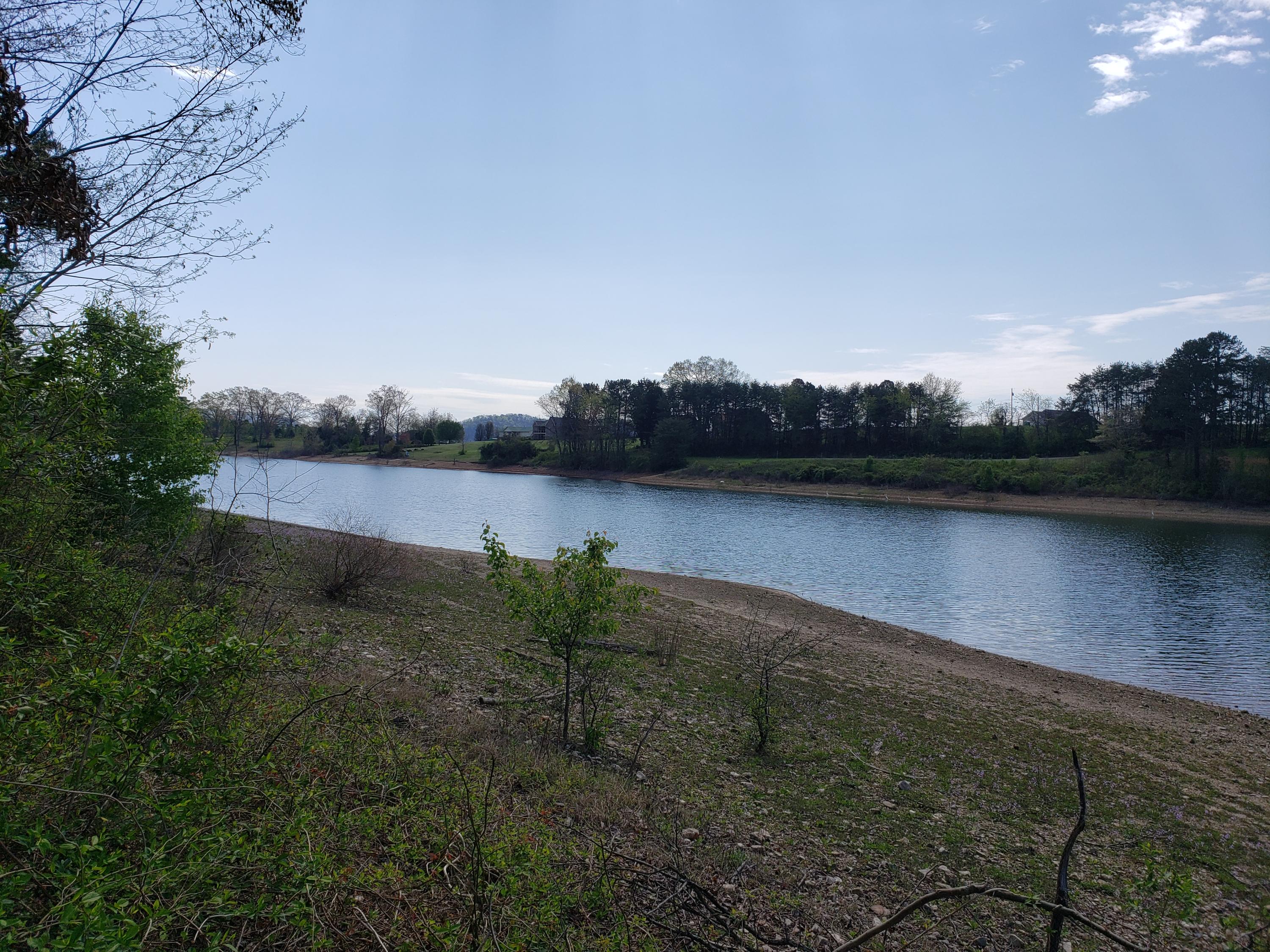 Cherokee Cove Rutledge, TN 37861 - Photo 8 of 8 kilgore lake view 3