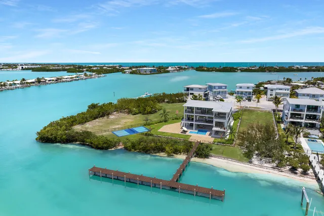 an aerial view of a house with a big yard