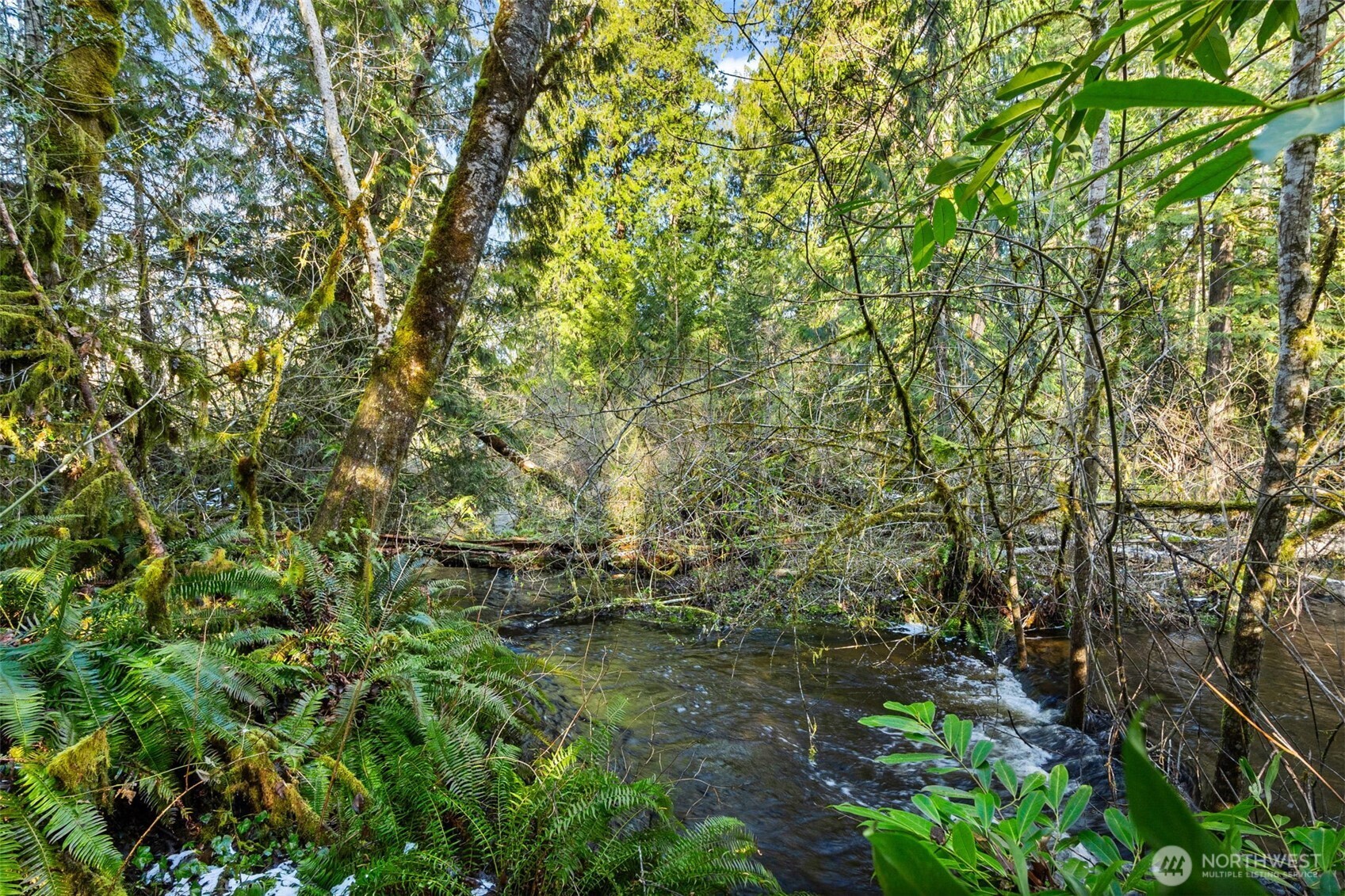 0 Libby Road Northeast Olympia, WA 98506 - Photo 3 of 6