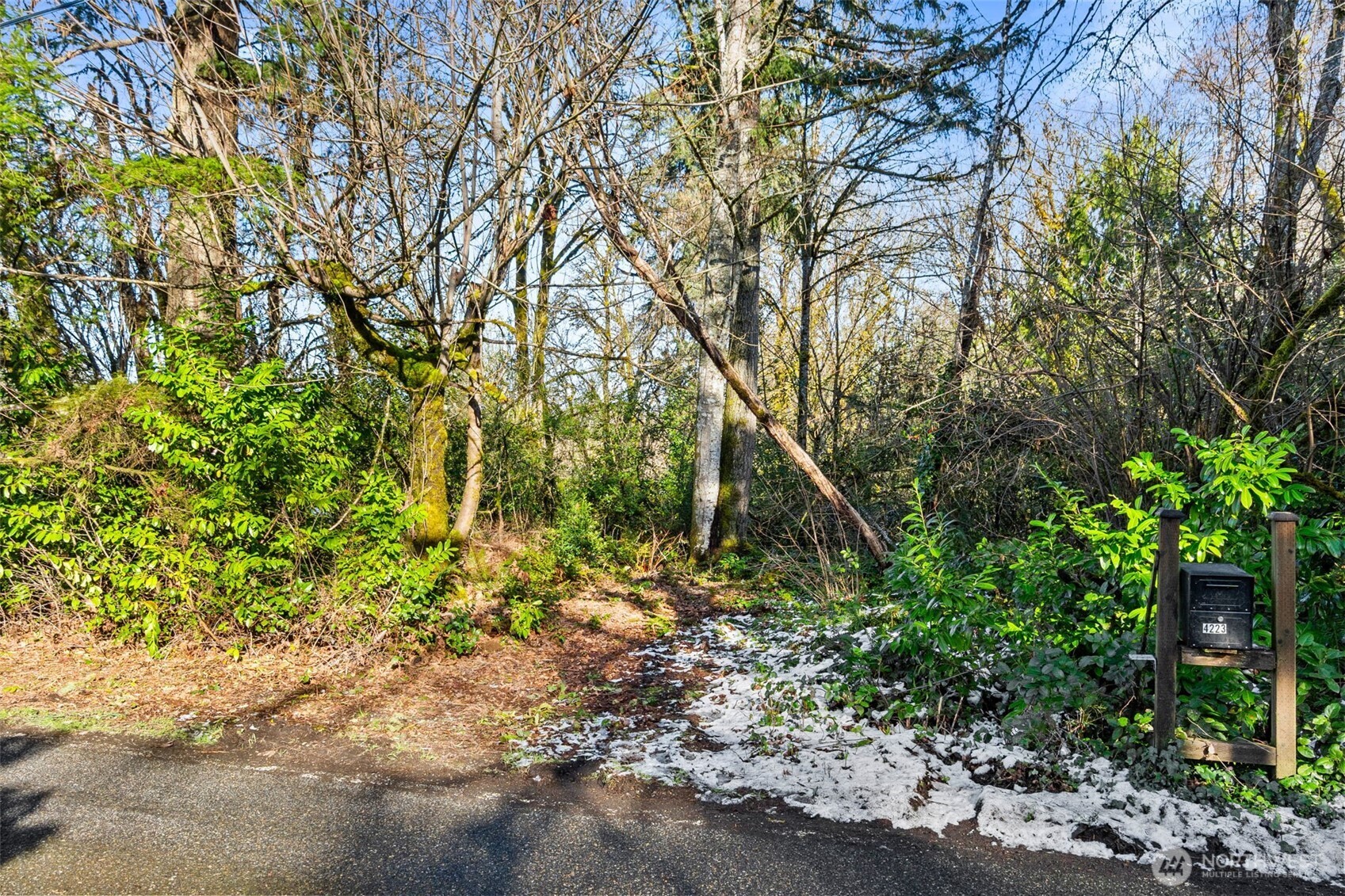 0 Libby Road Northeast Olympia, WA 98506 - Photo 4 of 6