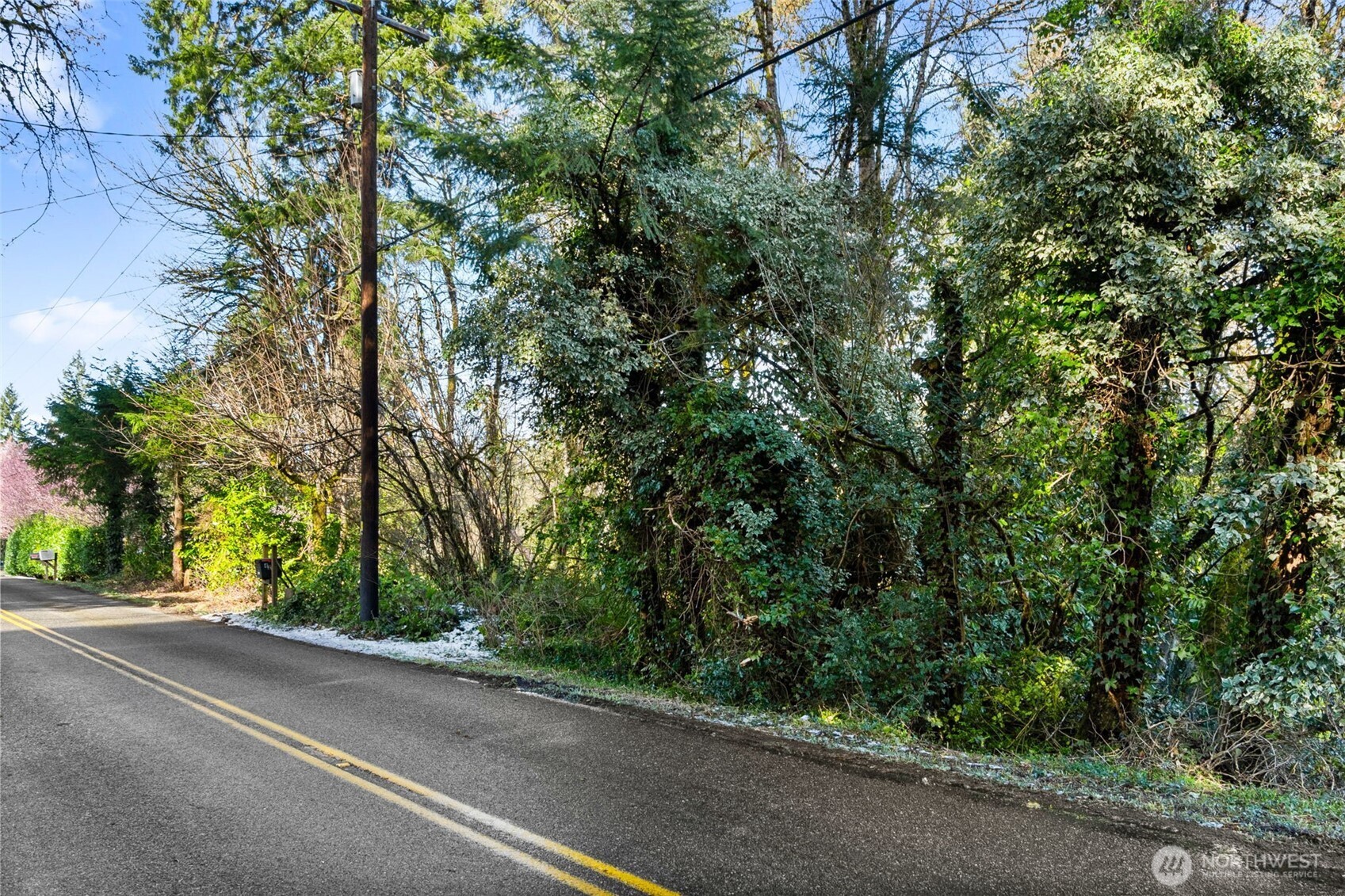 0 Libby Road Northeast Olympia, WA 98506 - Photo 5 of 6