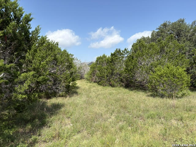 Lot 2025 Split Ridge Spring Branch, TX 78070 - Photo 5 of 35