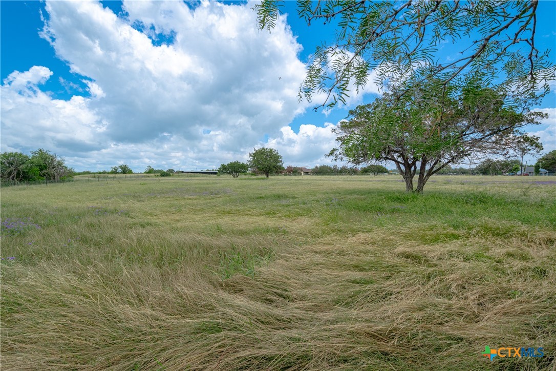 1919 Wetz Road Marion, TX 78124 - Photo 39 of 48