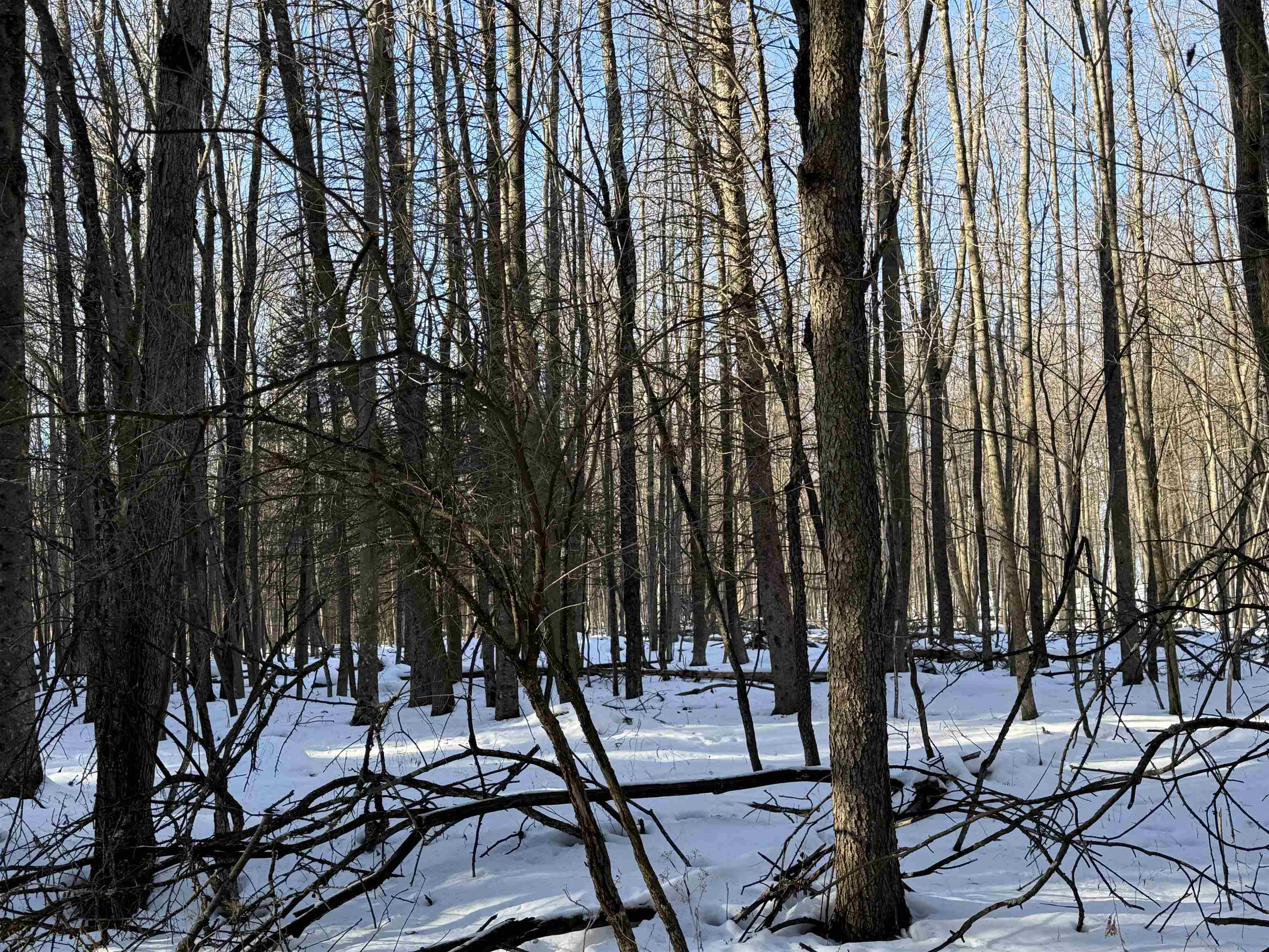 Kastner Road Tigerton, WI 54486 - Photo 2 of 6