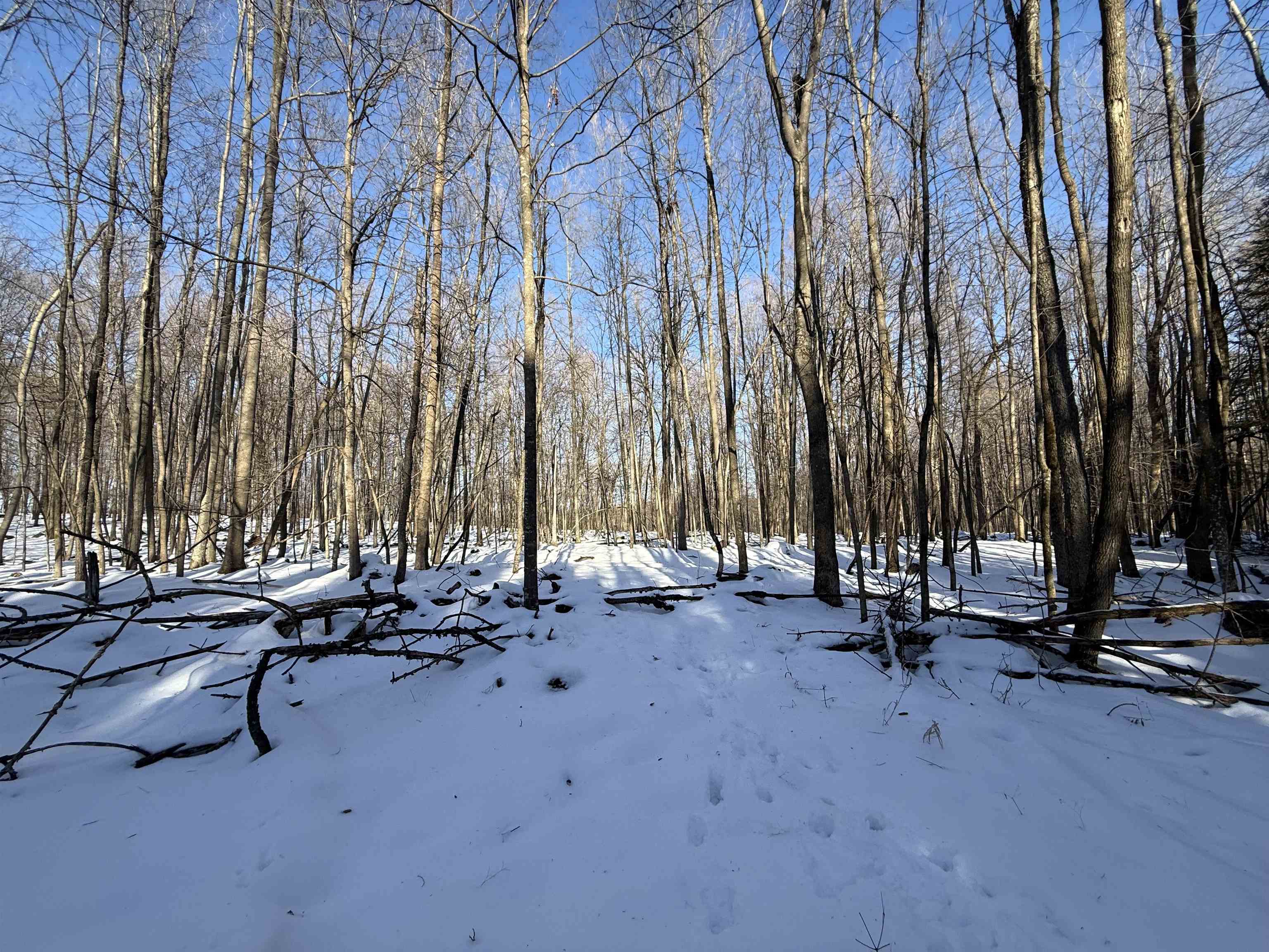 Kastner Road Tigerton, WI 54486 - Photo 4 of 6