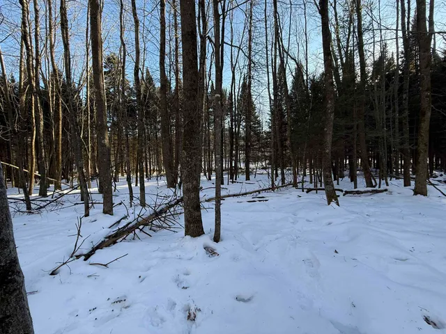 $195,000 | Kastner Road, Tigerton, WI 54486