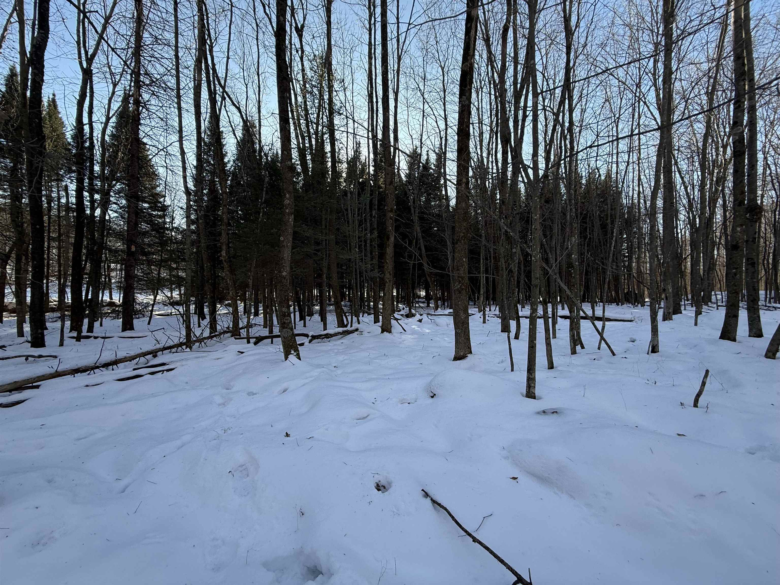 Kastner Road Tigerton, WI 54486 - Photo 6 of 6