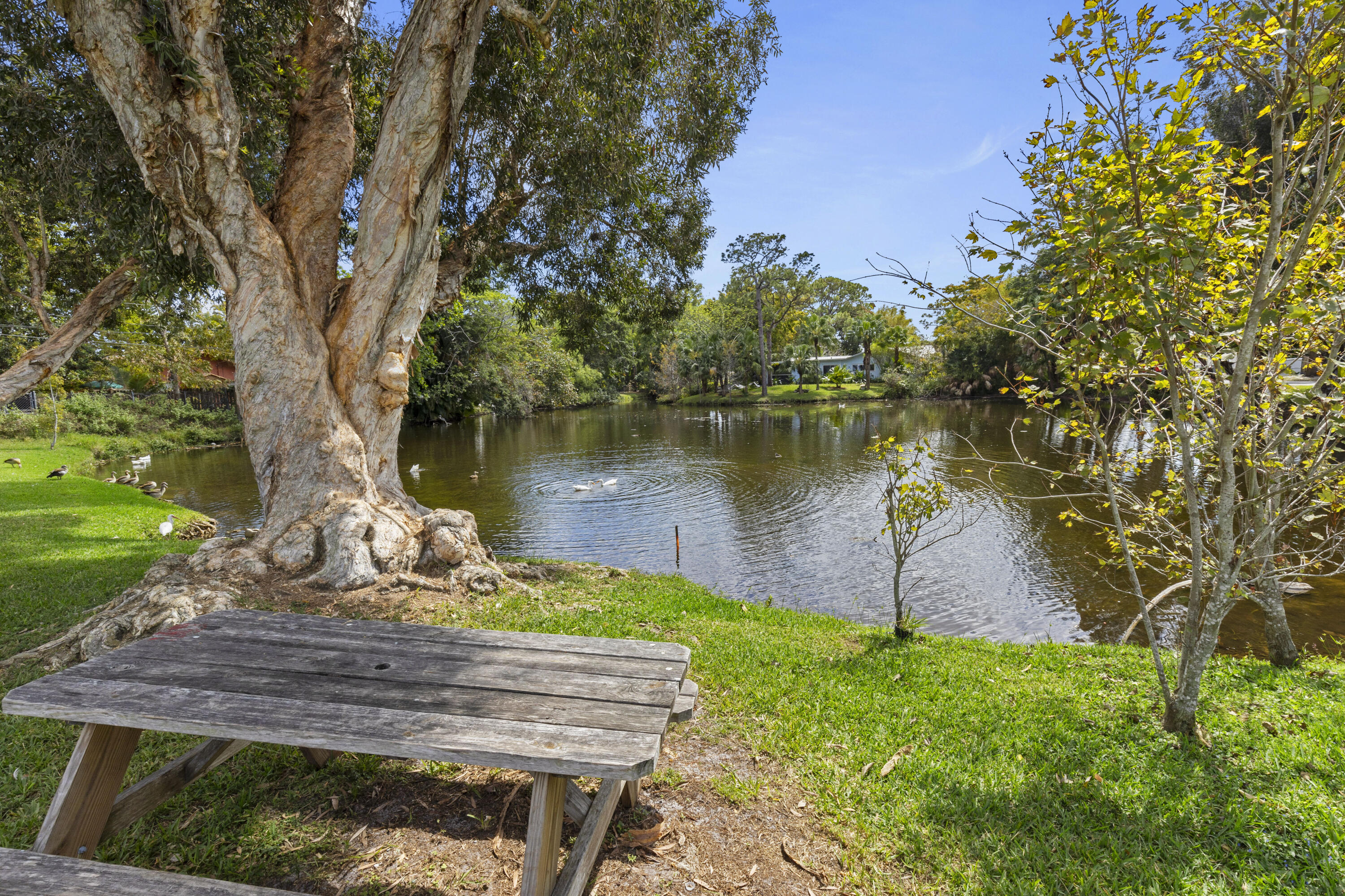 5100 Van Buren Road Delray Beach, FL 33484 - Photo 30 of 35 Community Pond