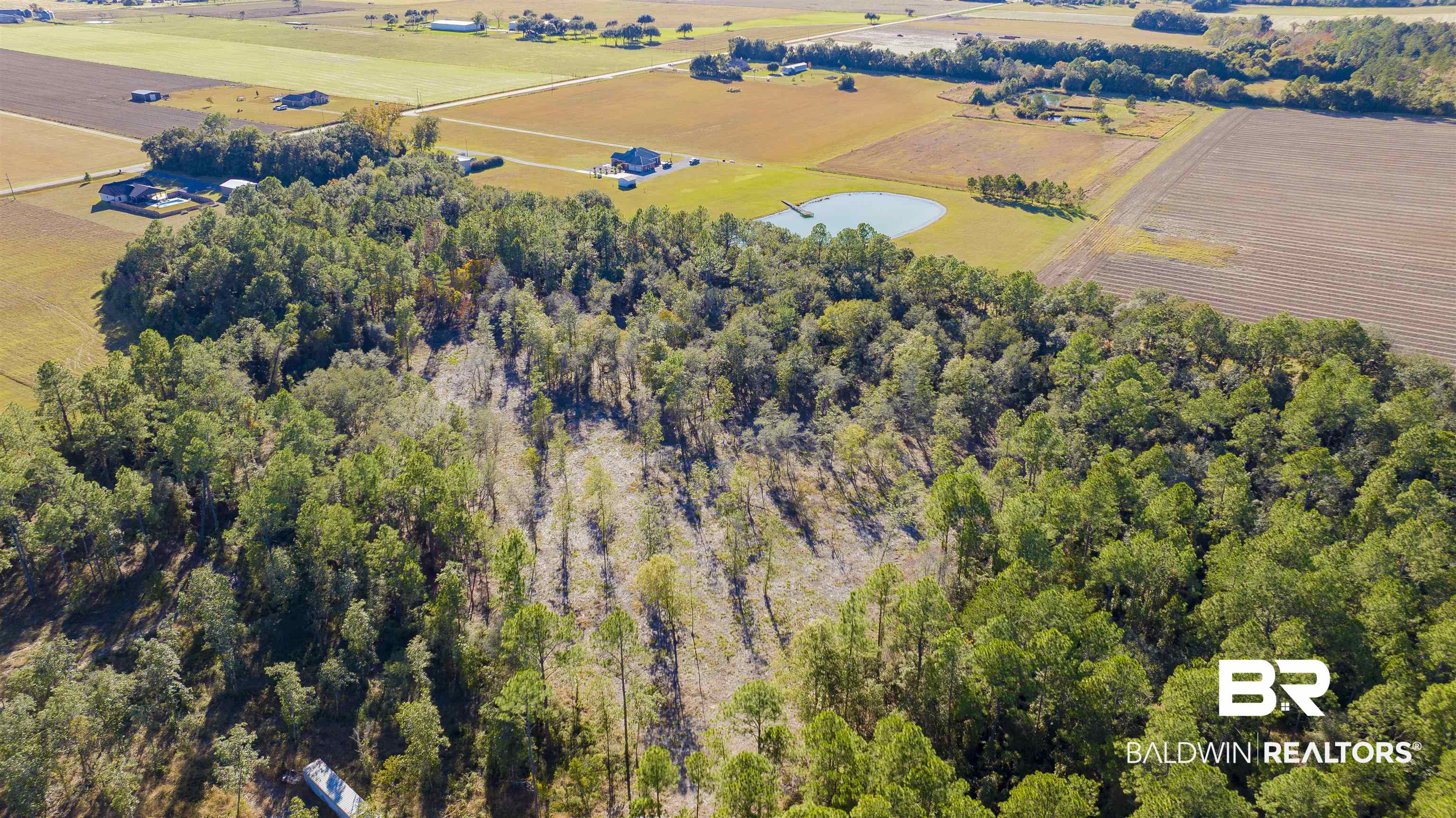 0 County Road 95 Elberta, AL 36530 - Photo 2 of 11