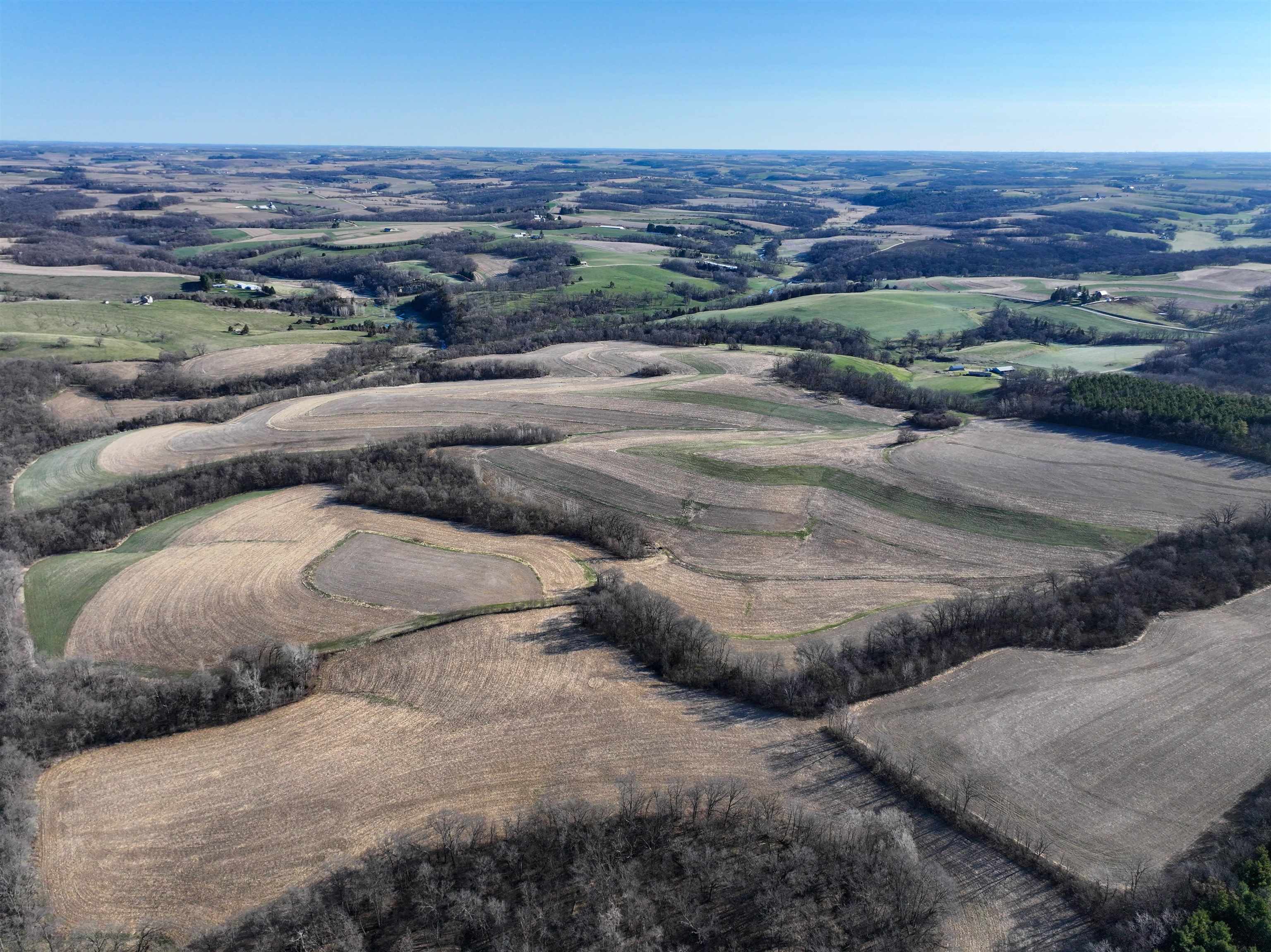 229.98-acres Whitcomb Lane Lancaster, WI 53813 - Photo 11 of 57