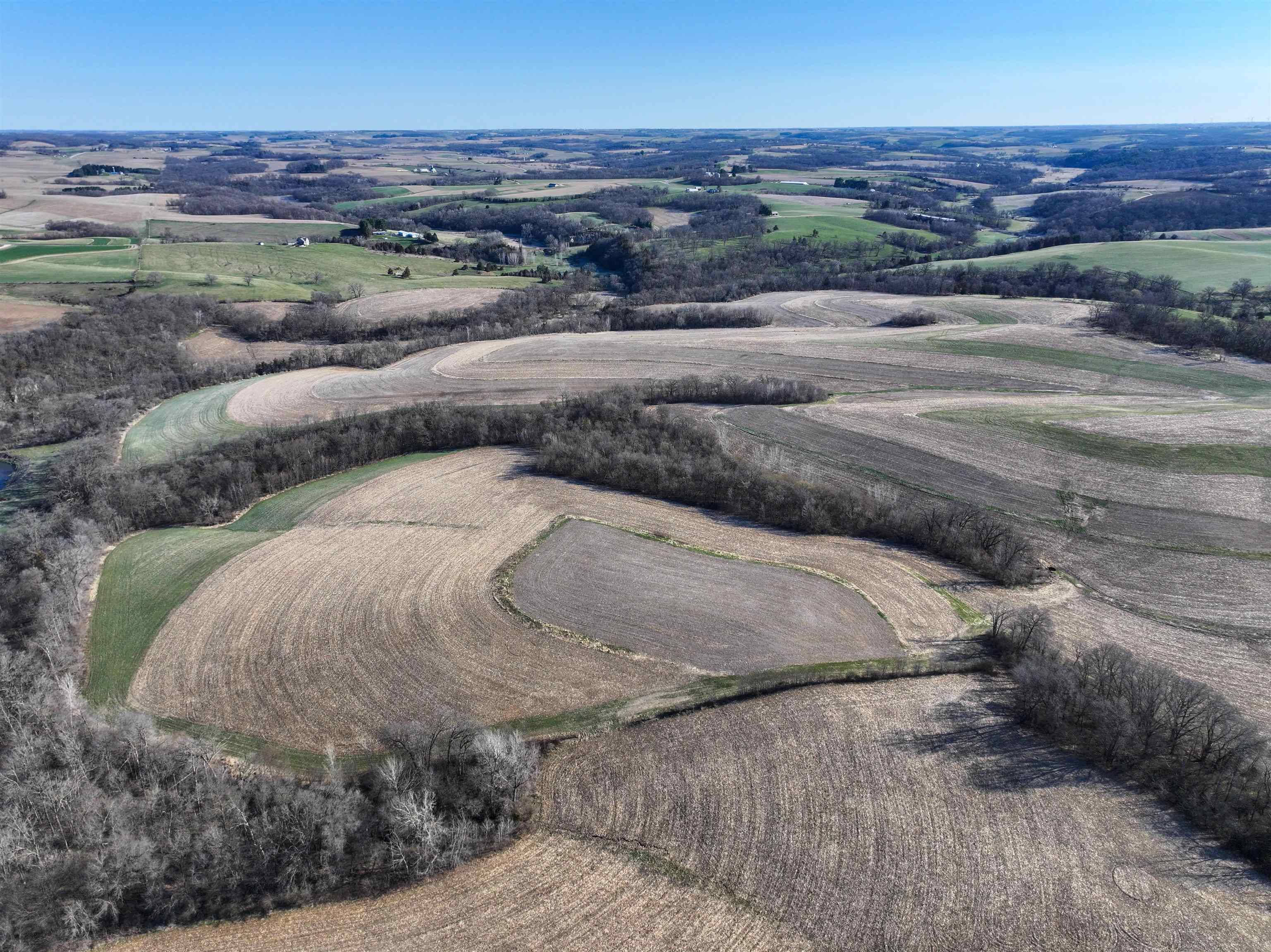 229.98-acres Whitcomb Lane Lancaster, WI 53813 - Photo 12 of 57