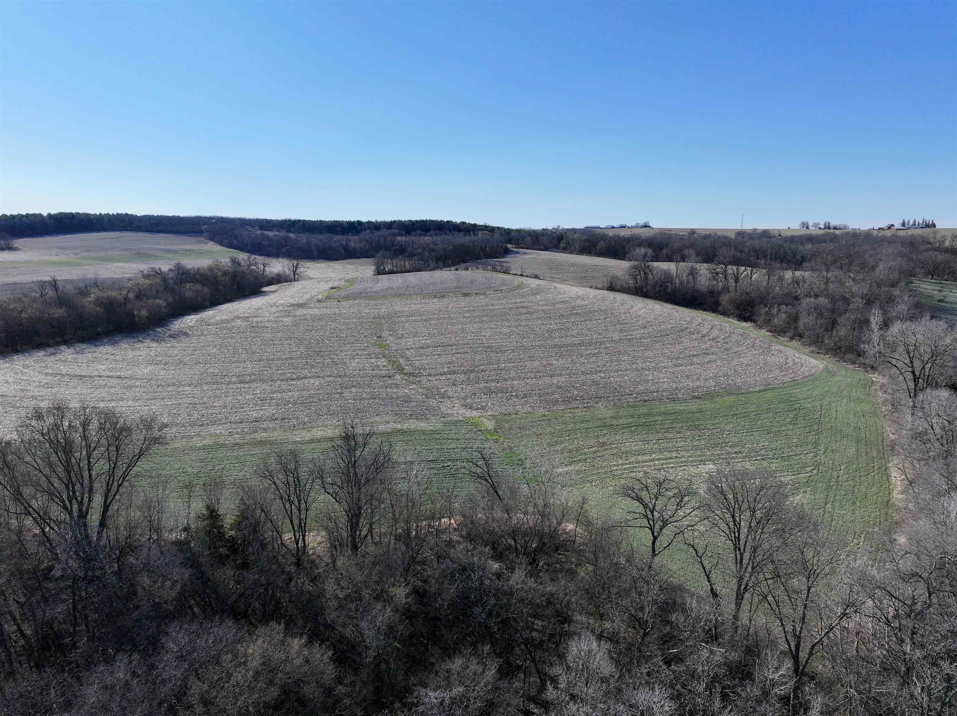 229.98-acres Whitcomb Lane Lancaster, WI 53813 - Photo 13 of 57