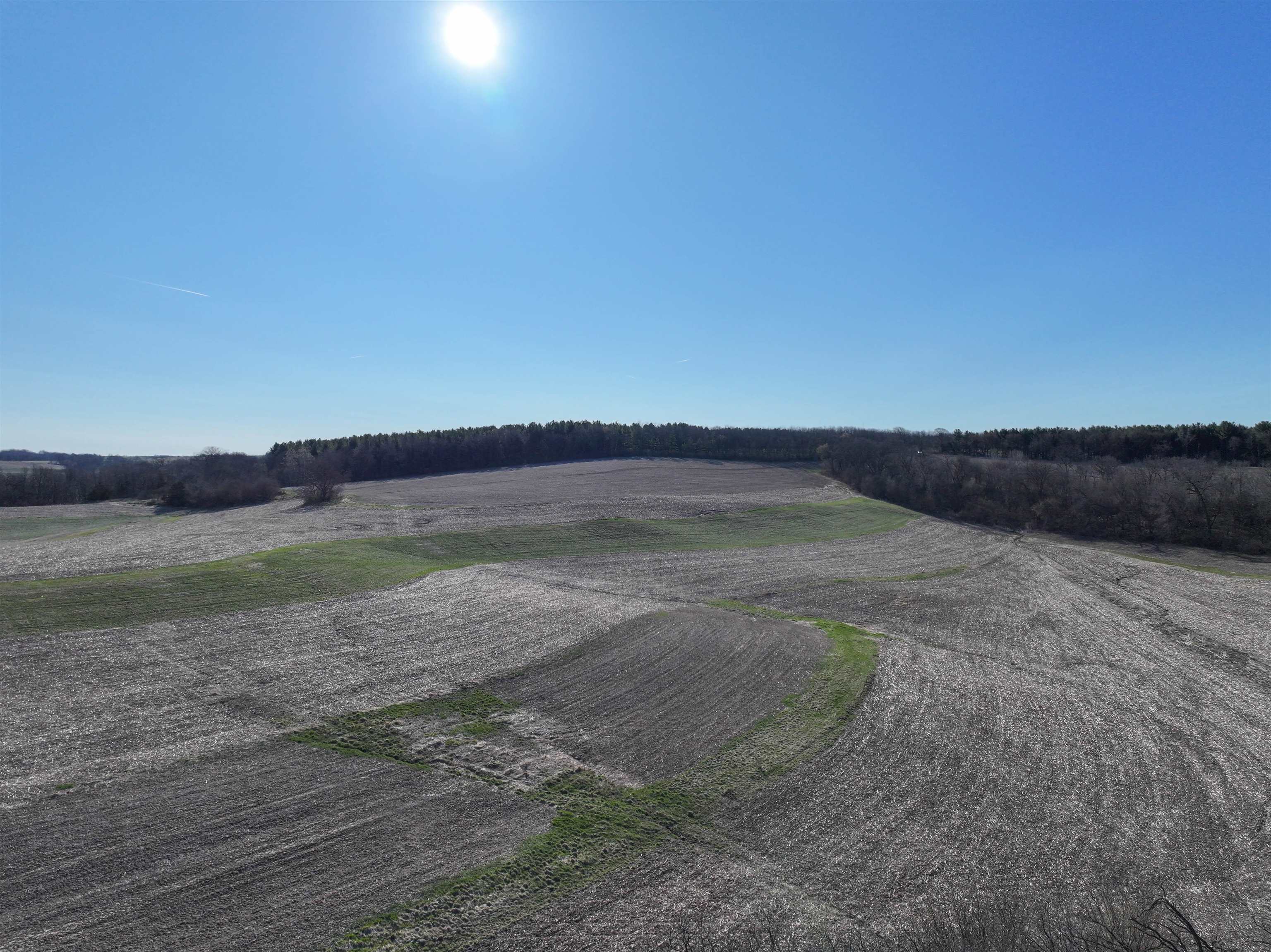 229.98-acres Whitcomb Lane Lancaster, WI 53813 - Photo 14 of 57