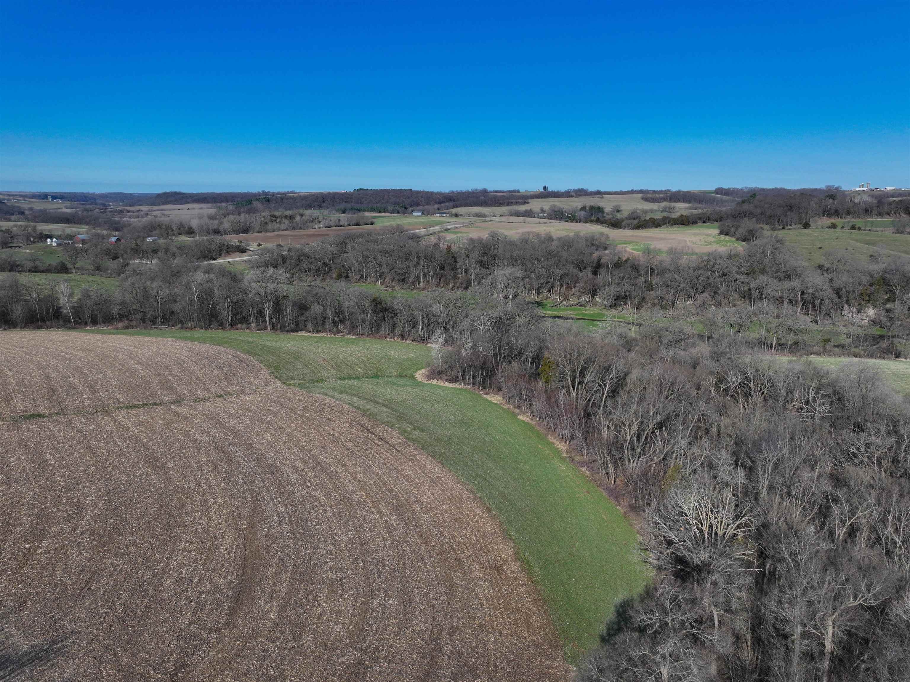 229.98-acres Whitcomb Lane Lancaster, WI 53813 - Photo 15 of 57