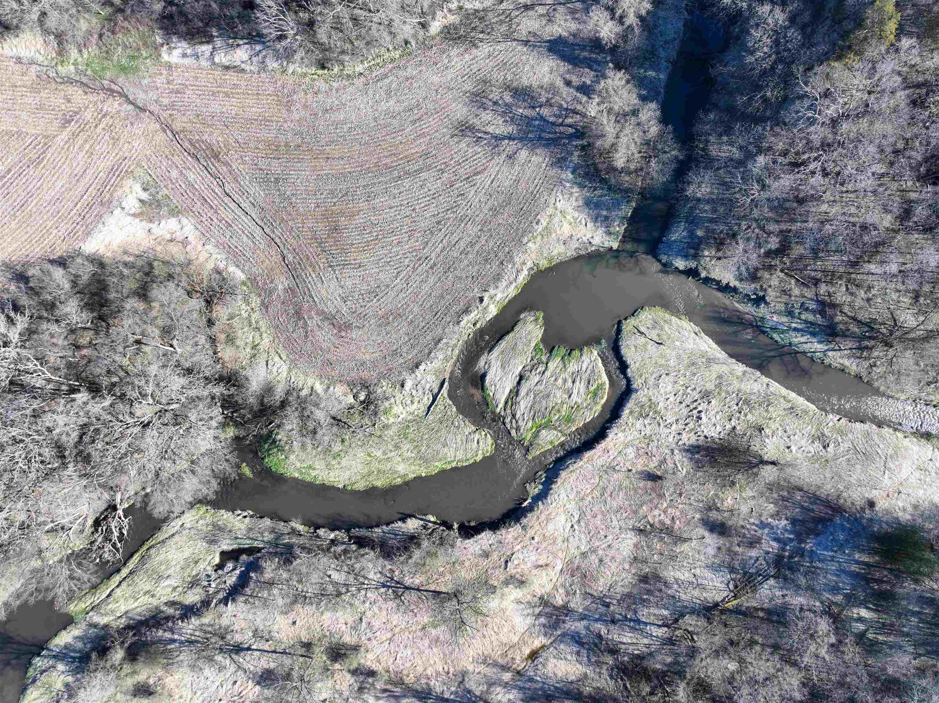 229.98-acres Whitcomb Lane Lancaster, WI 53813 - Photo 21 of 57