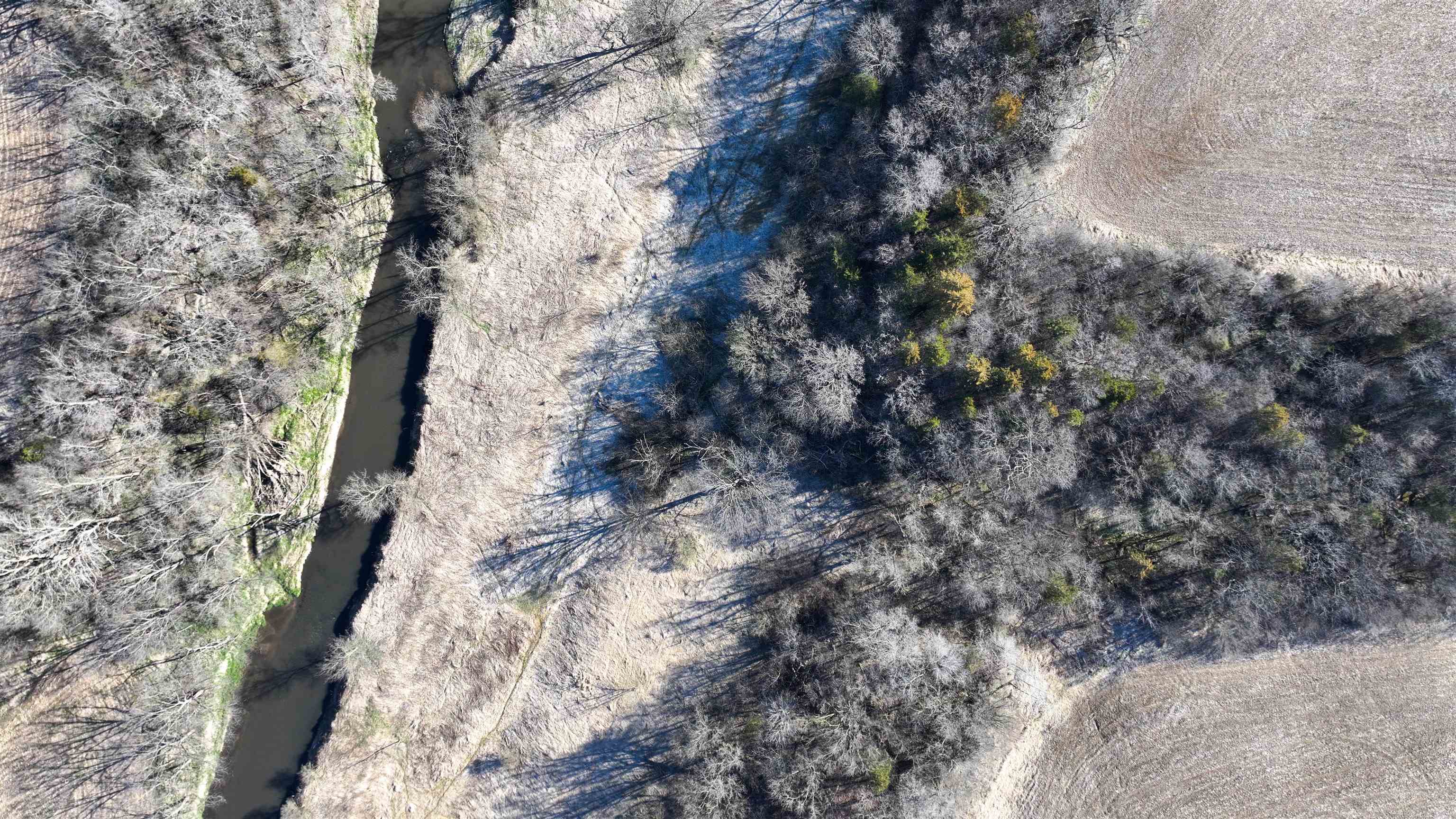 229.98-acres Whitcomb Lane Lancaster, WI 53813 - Photo 30 of 57