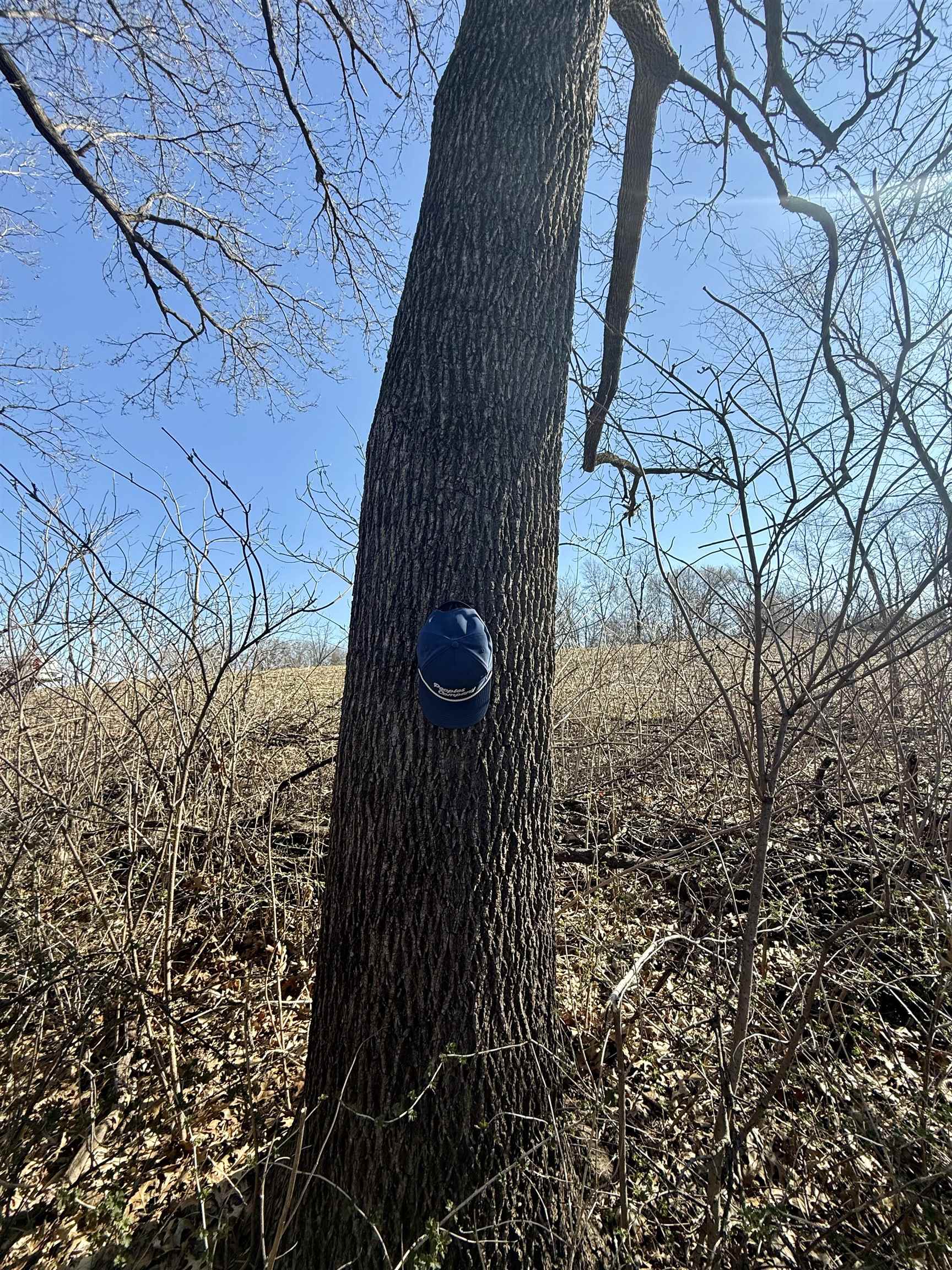 229.98-acres Whitcomb Lane Lancaster, WI 53813 - Photo 44 of 57