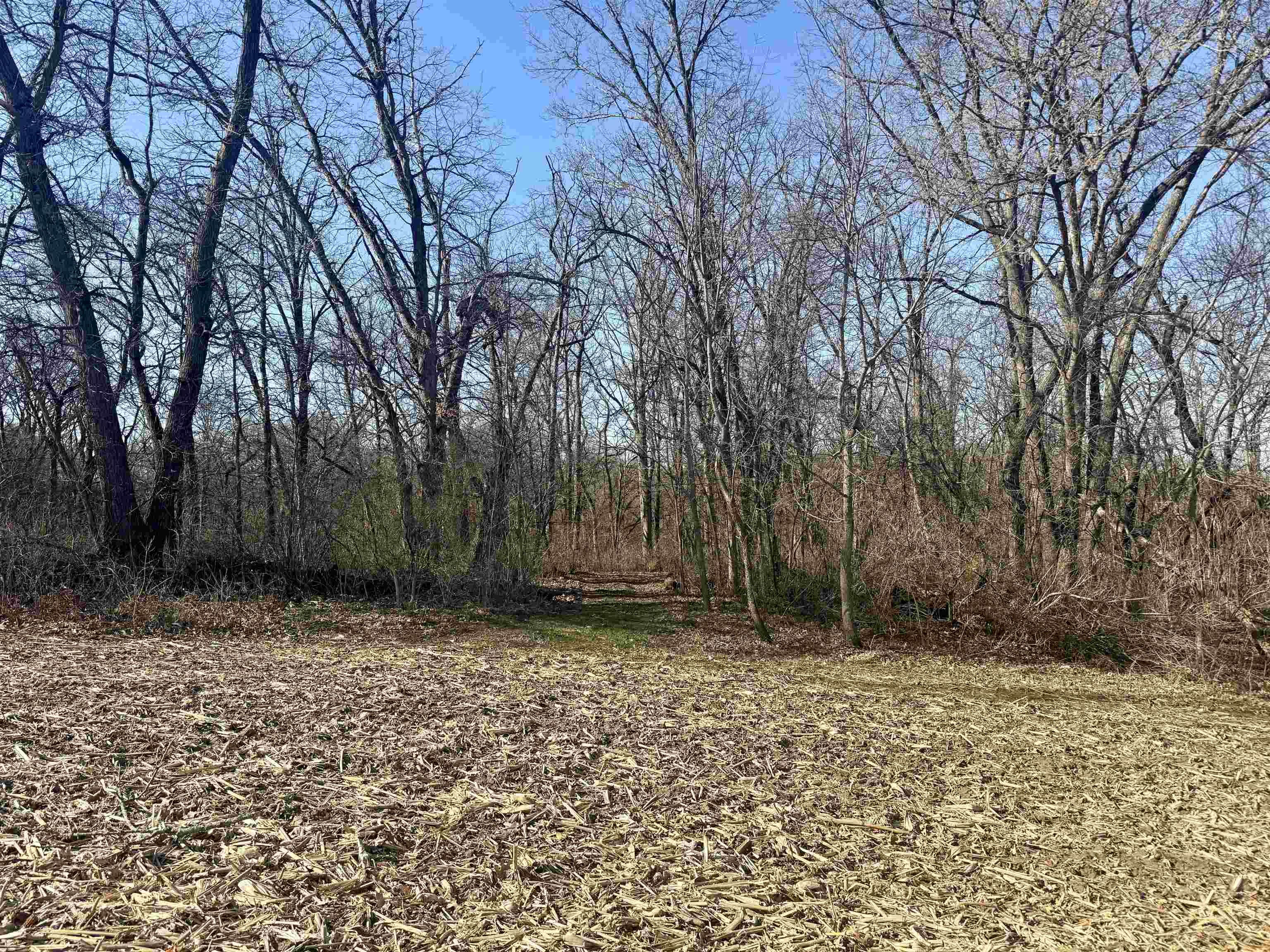 229.98-acres Whitcomb Lane Lancaster, WI 53813 - Photo 45 of 57