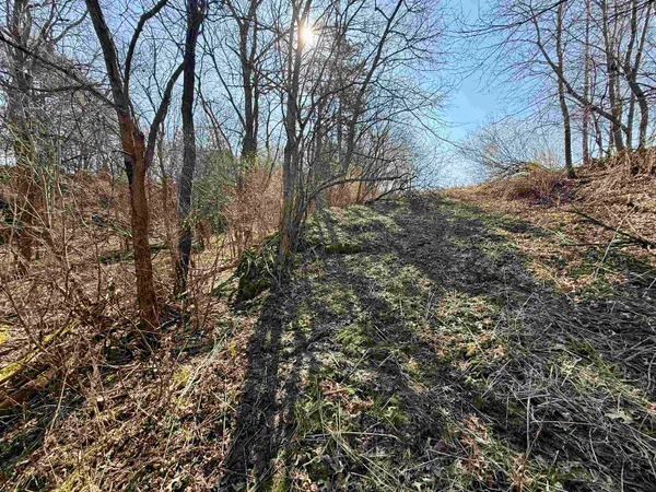 $2,100,000 | 229.98-acres Whitcomb Lane, Lancaster, WI 53813