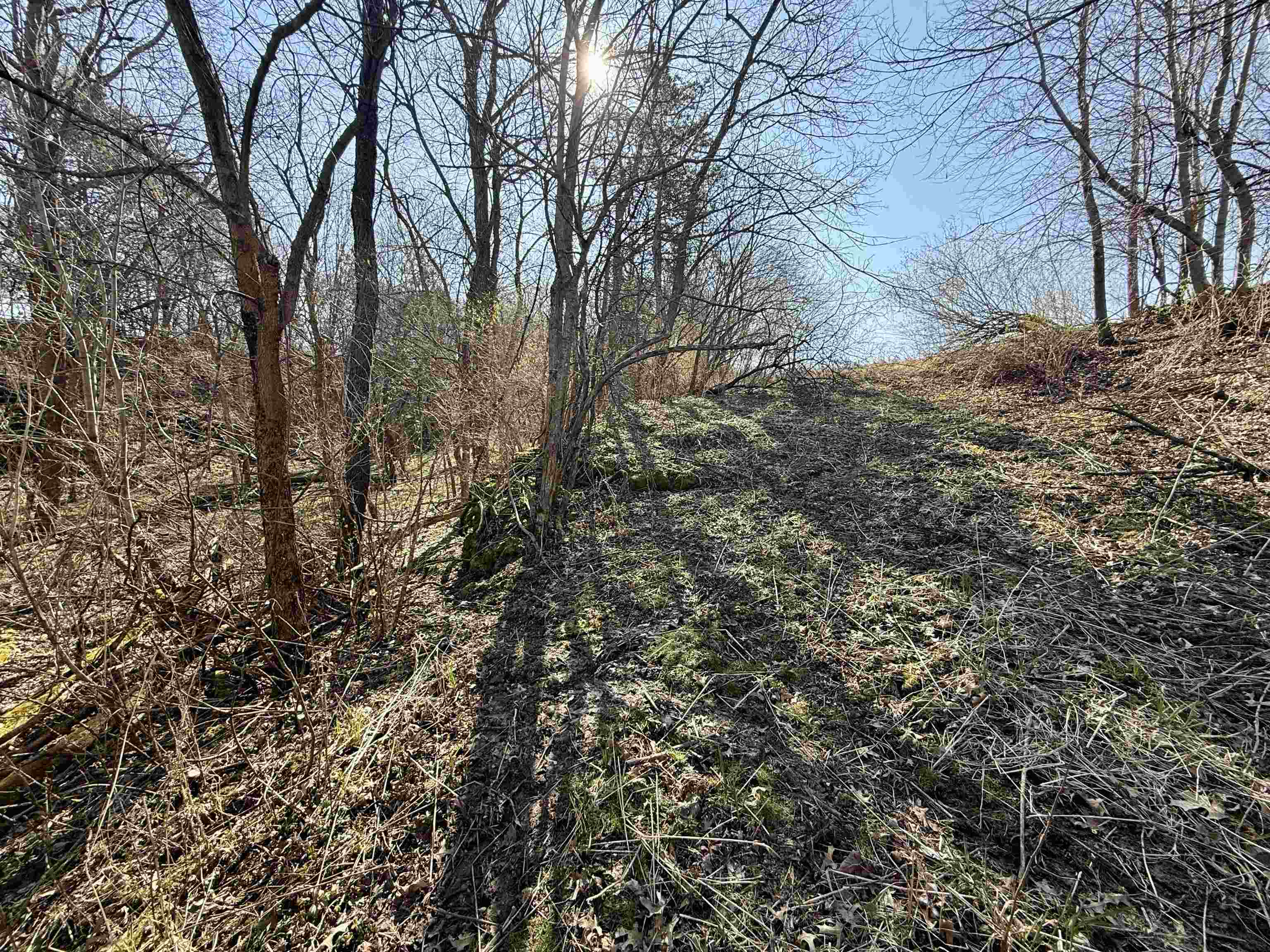 229.98-acres Whitcomb Lane Lancaster, WI 53813 - Photo 47 of 57