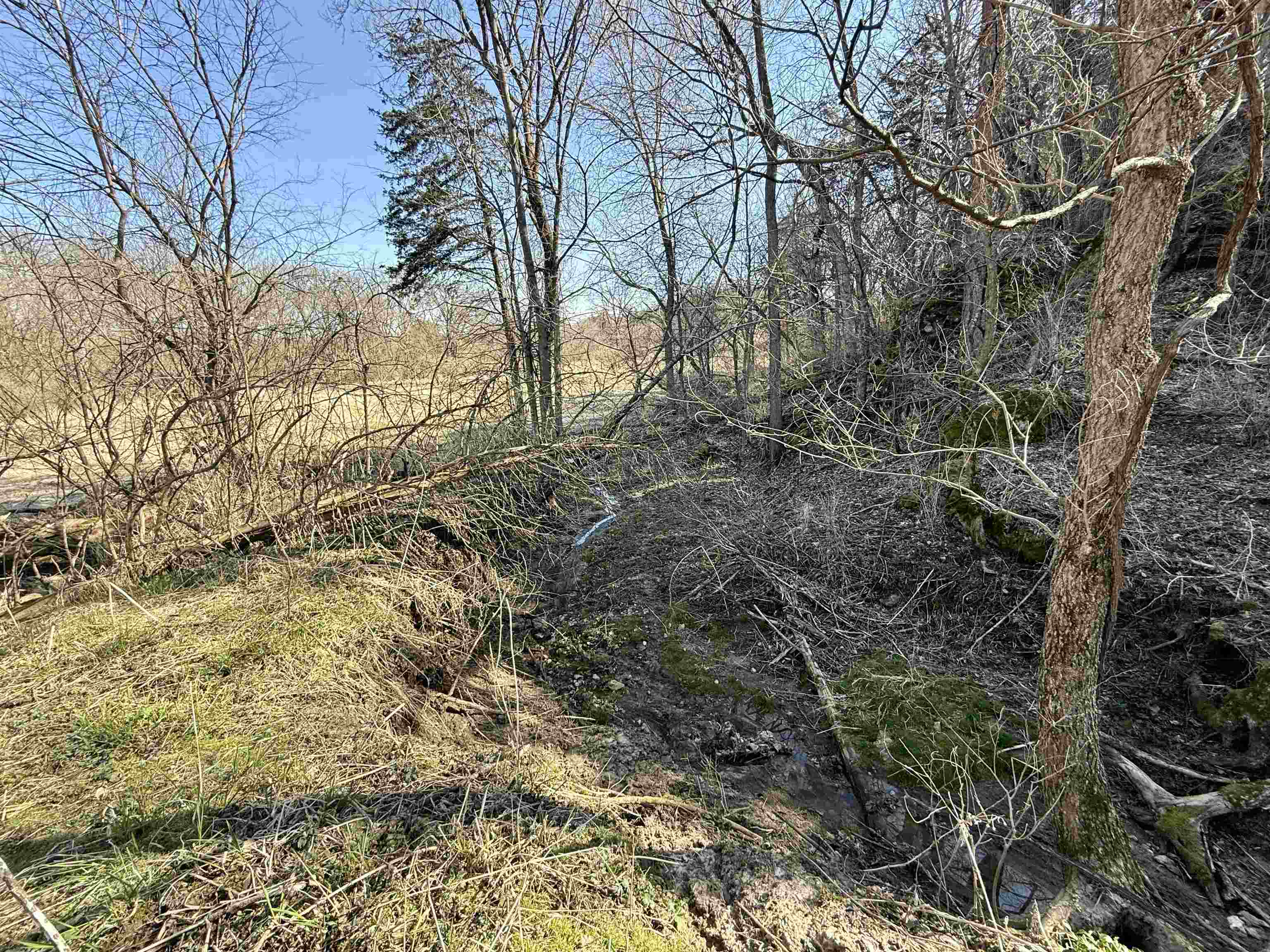 229.98-acres Whitcomb Lane Lancaster, WI 53813 - Photo 48 of 57