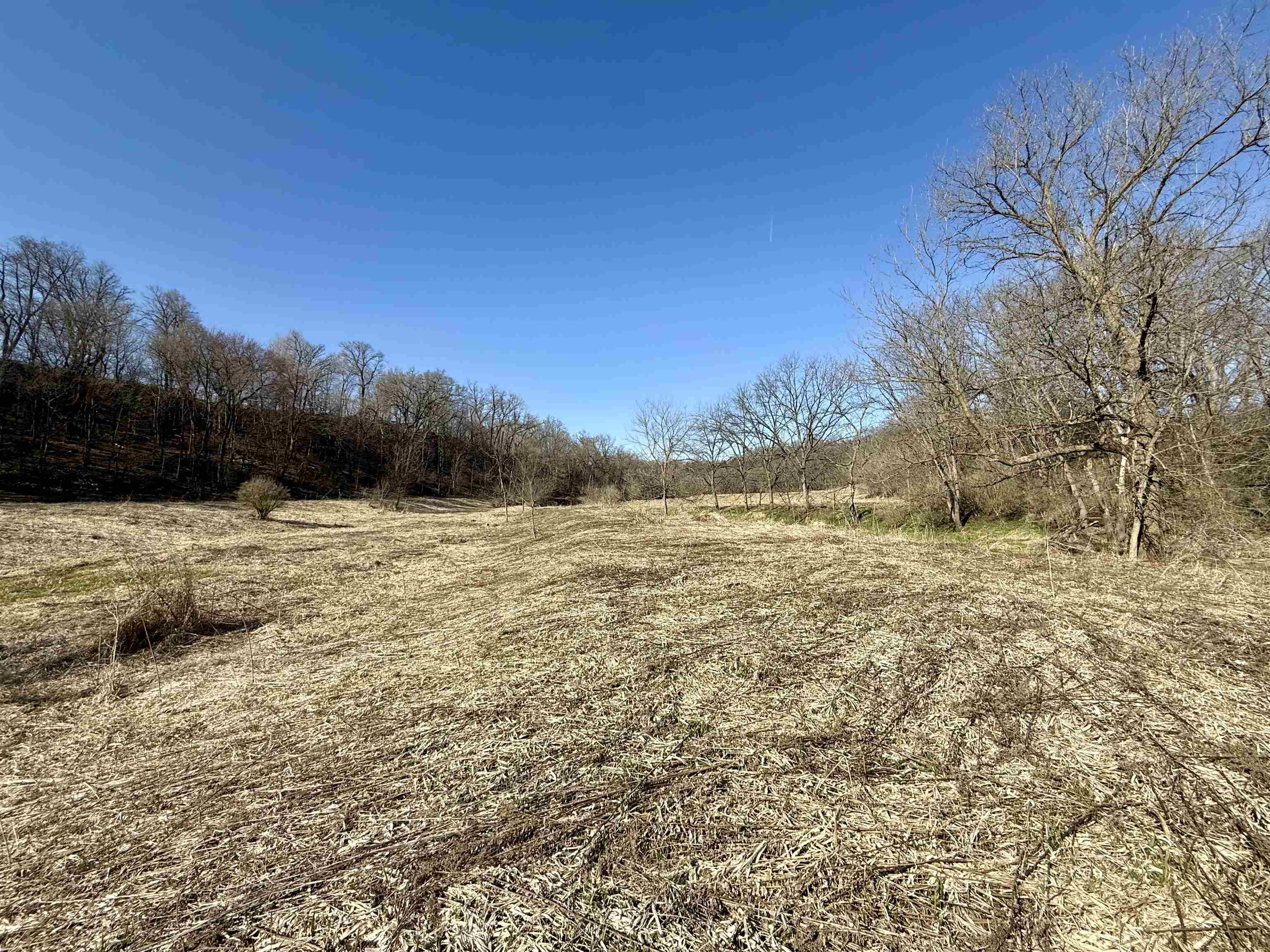 229.98-acres Whitcomb Lane Lancaster, WI 53813 - Photo 49 of 57