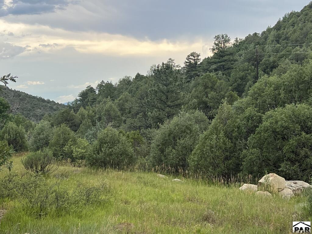 Lot 4 Peacock Road Trinidad, CO 81082 - Photo 2 of 4 Gallery Image 2