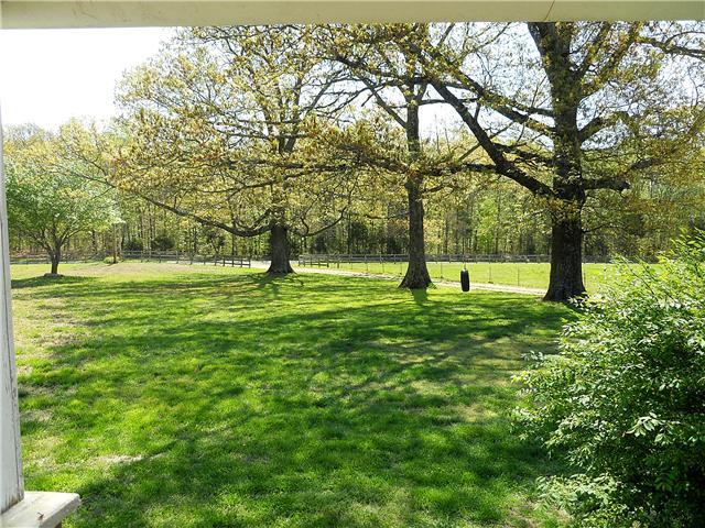 10515 Moss Branch Road Bon Aqua, TN 37025 - Photo 5 of 20 3 magnificent oaks line the driveway.
