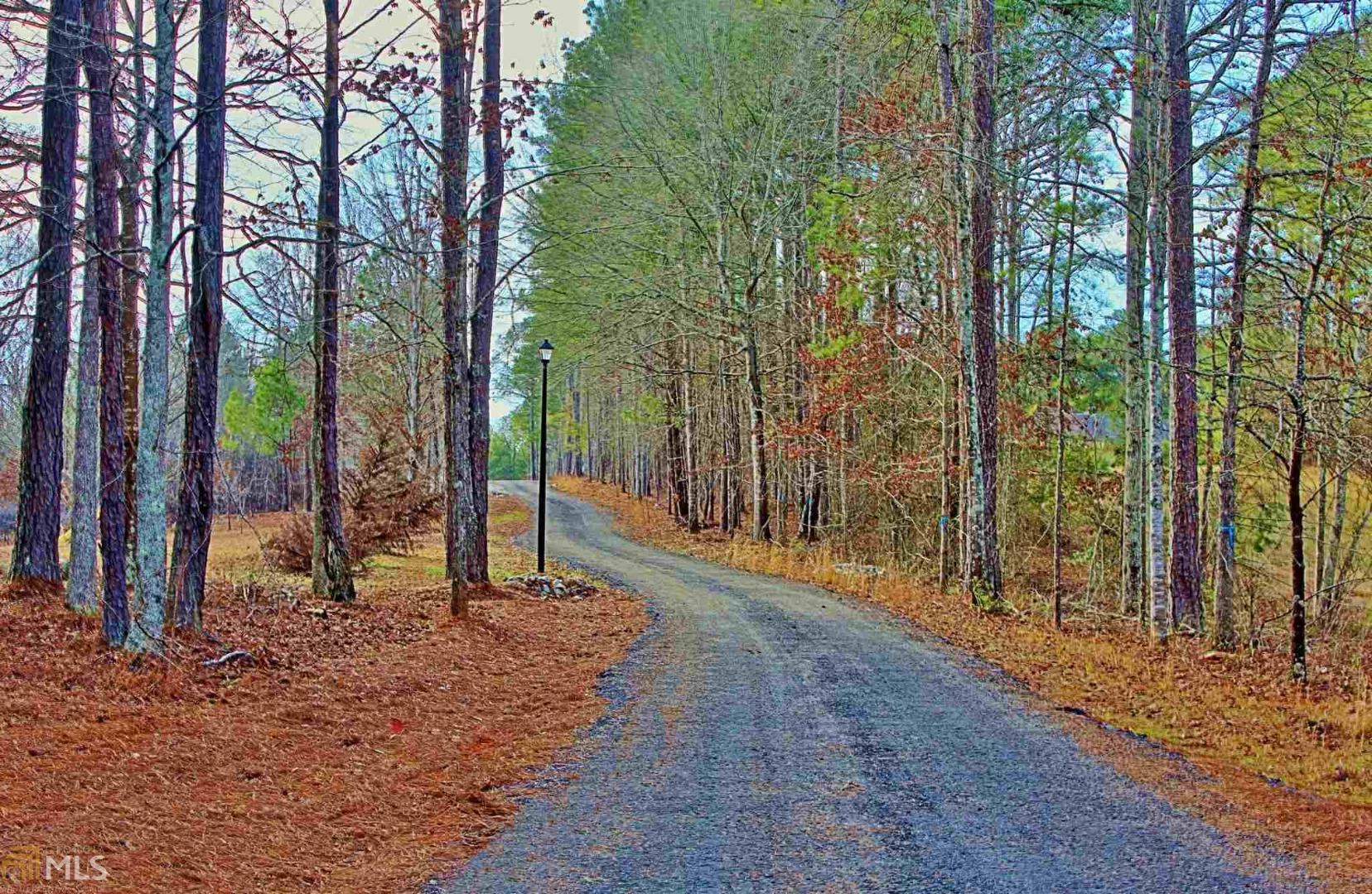 1674 Minix Road, Unit 2 Sharpsburg, GA 30277 - Photo 1 of 1 Gallery Image 1