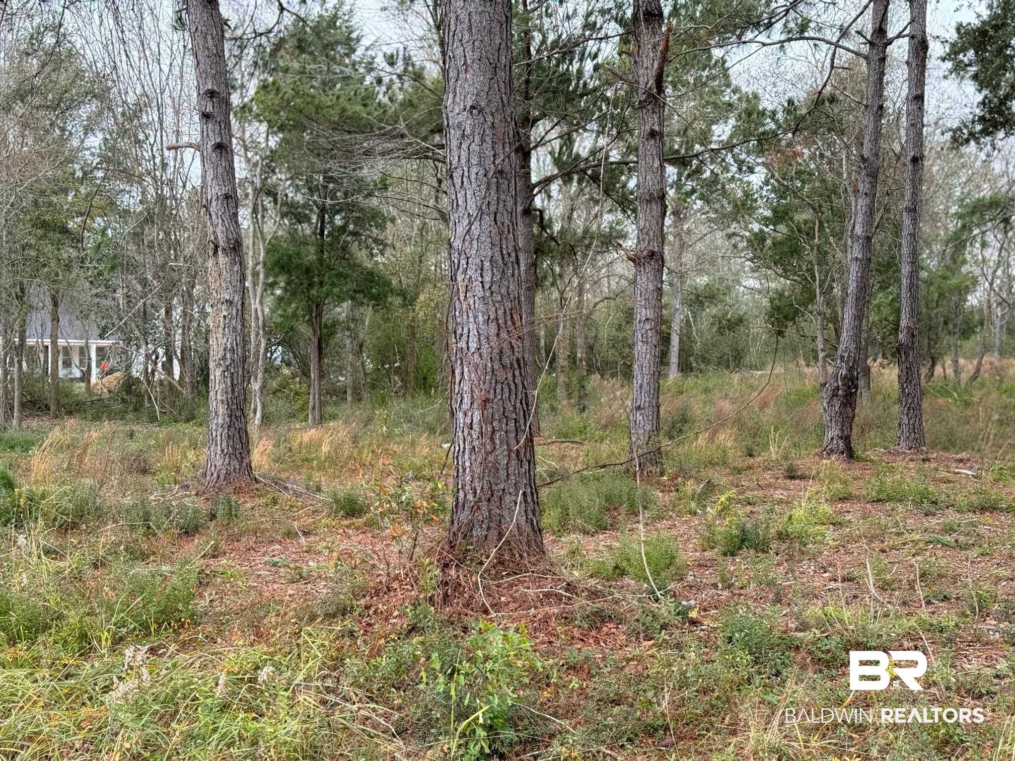 0 Old Brady Road Loxley, AL 36551 - Photo 1 of 7